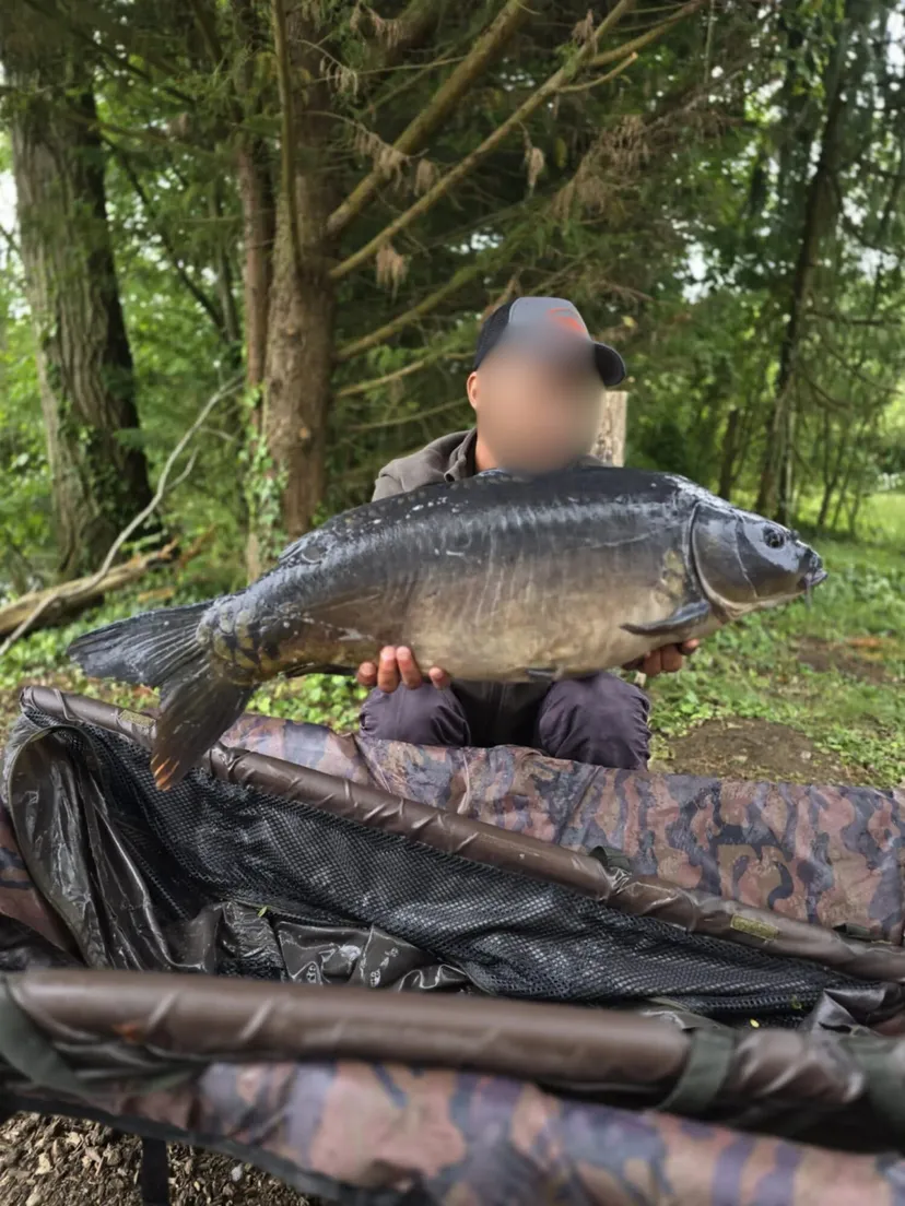 Hébergement pour 2 personnes en Hauts-de-France, en bord d’un étang riche en carpes