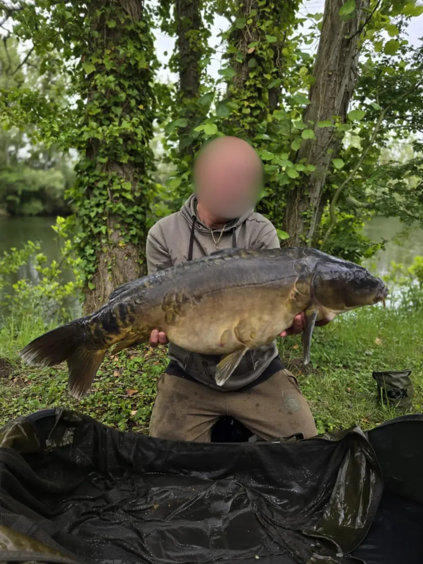 Hébergement pour 2 personnes en Hauts-de-France, en bord d’un étang riche en carpes