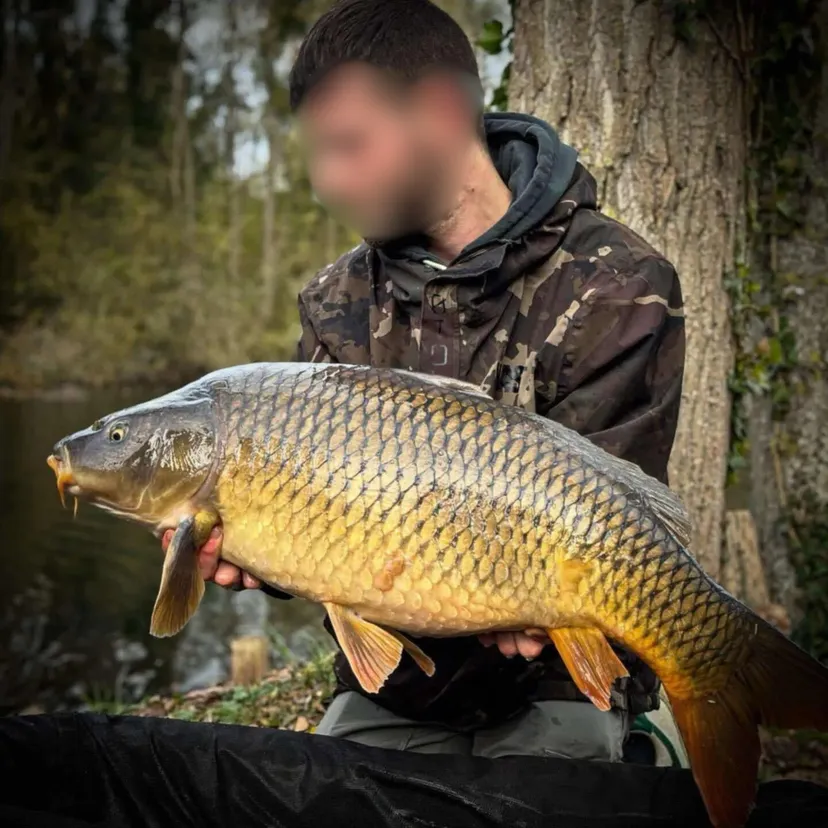 Hébergement pour 2 personnes en Hauts-de-France, en bord d’un étang riche en carpes