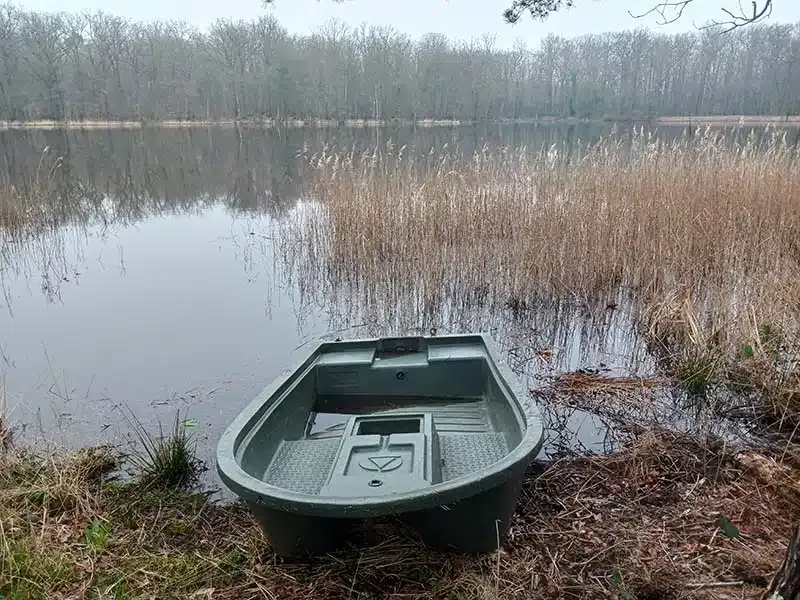 Gîte avec 2 étangs de 13 et 3 ha pour la pêche