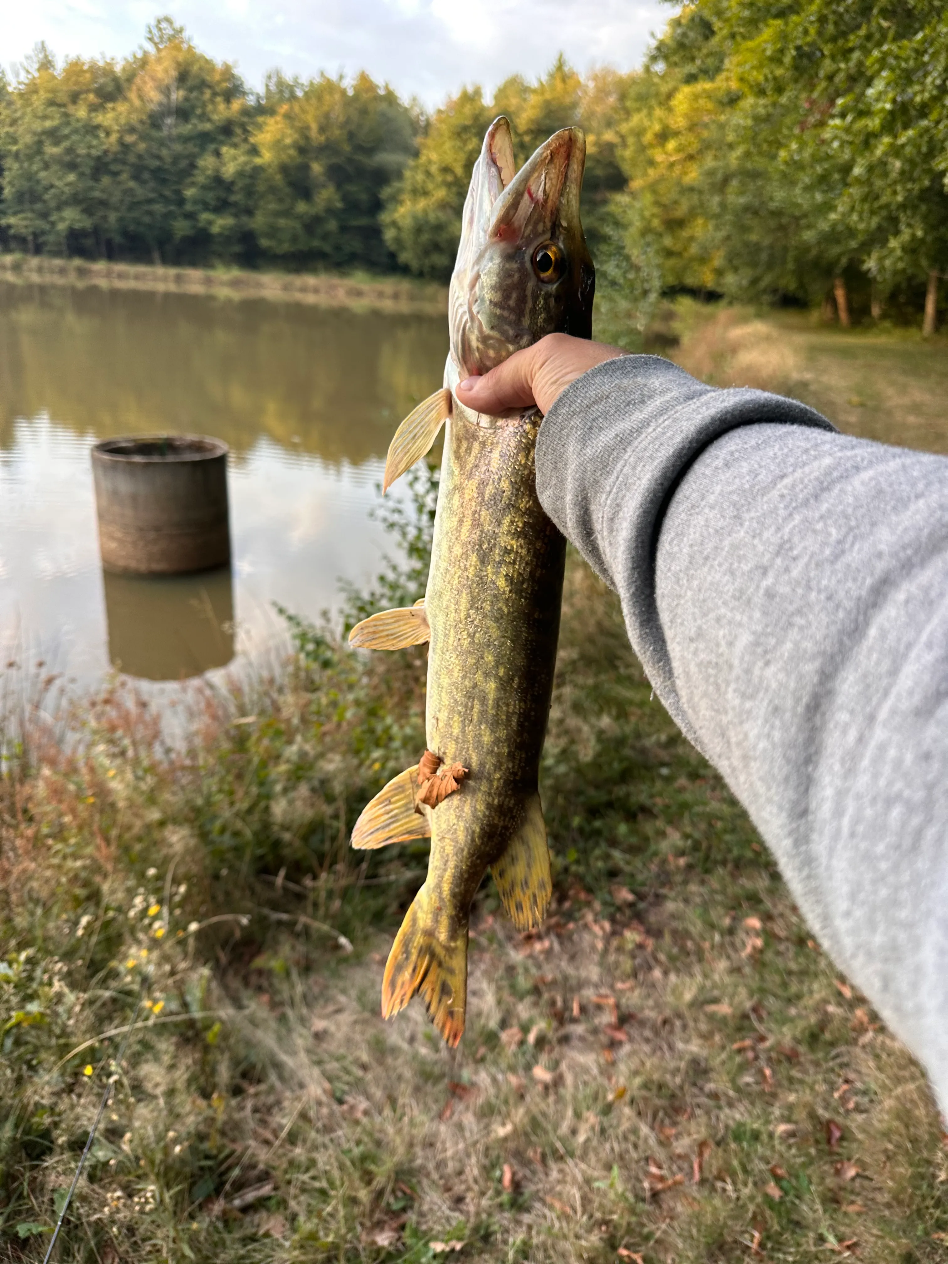 Chalet avec étang privé au cœur d’une propriété de 10 hectares