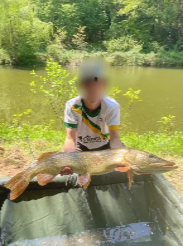 Chalet perdu au milieu de la nature