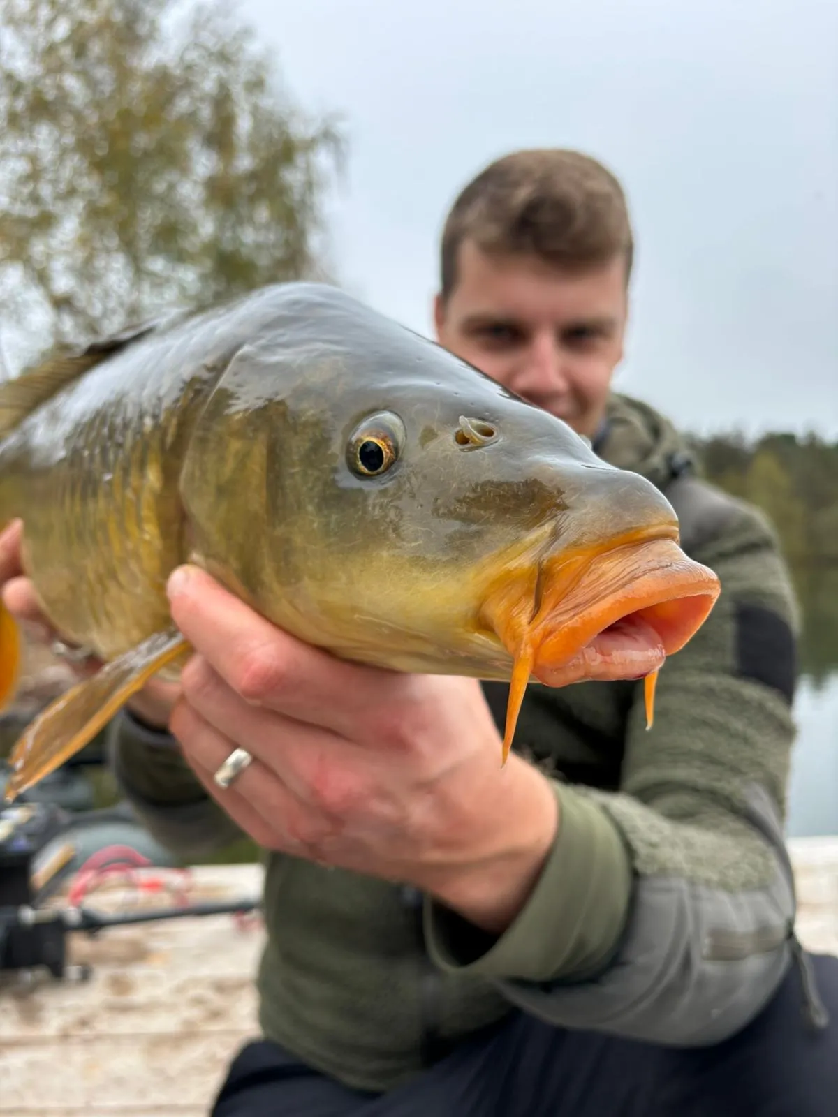 Étang de 7 hectares et chalet tout confort pour 4 personnes