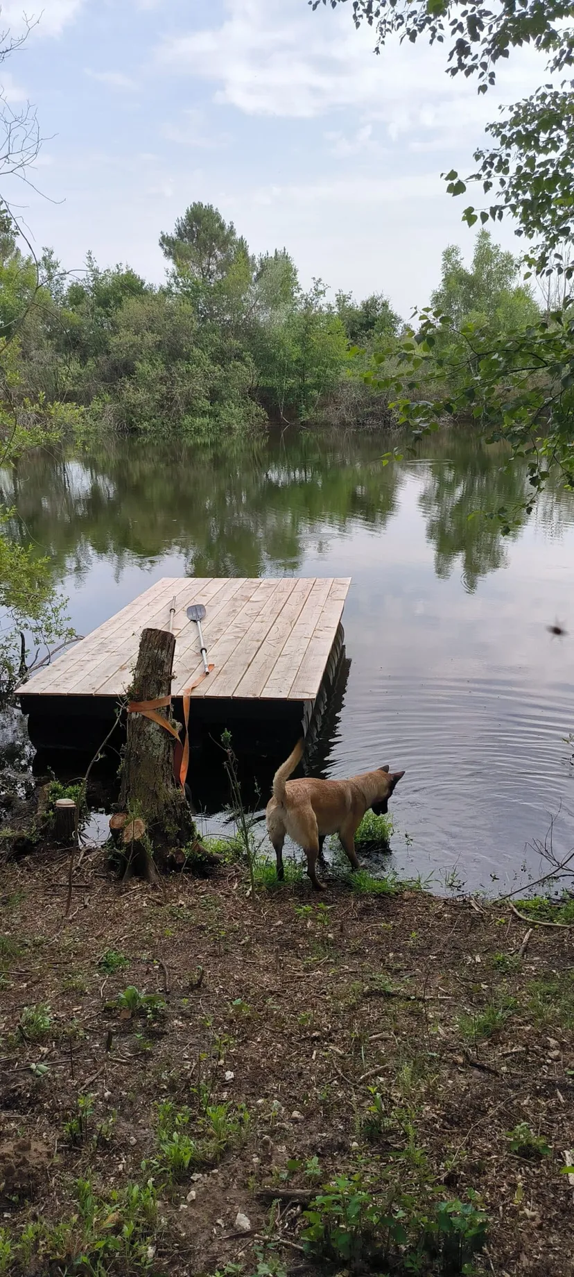 privatisation du petit étang de 2ha un endroit rêvé pour pêcher et camper