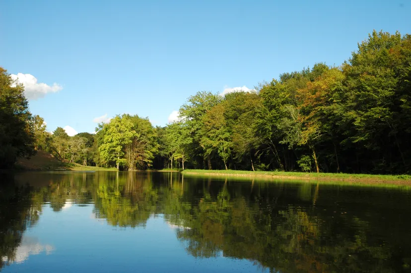 Séjour de charme en pleine nature avec spa-Sauna et piscine / AN