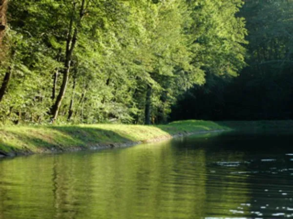 Séjour de charme en pleine nature avec spa-Sauna et piscine / AN