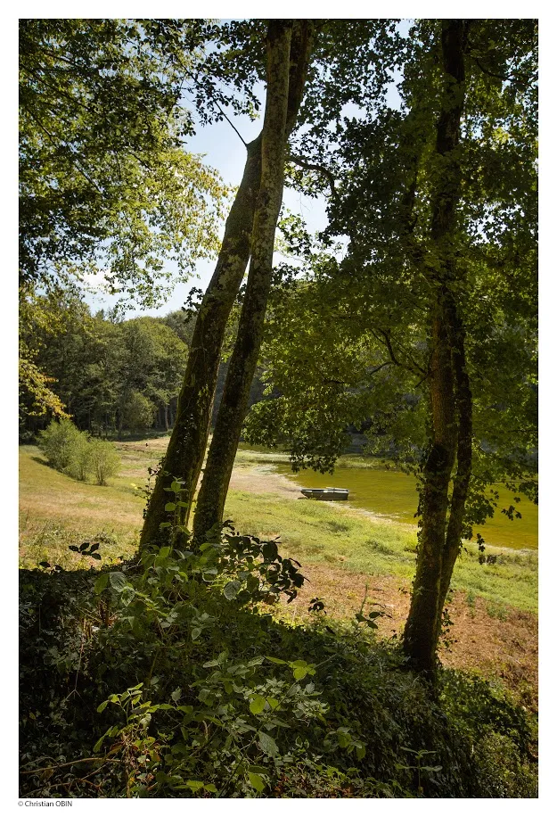 Séjour de charme en pleine nature avec spa-Sauna et piscine / AN