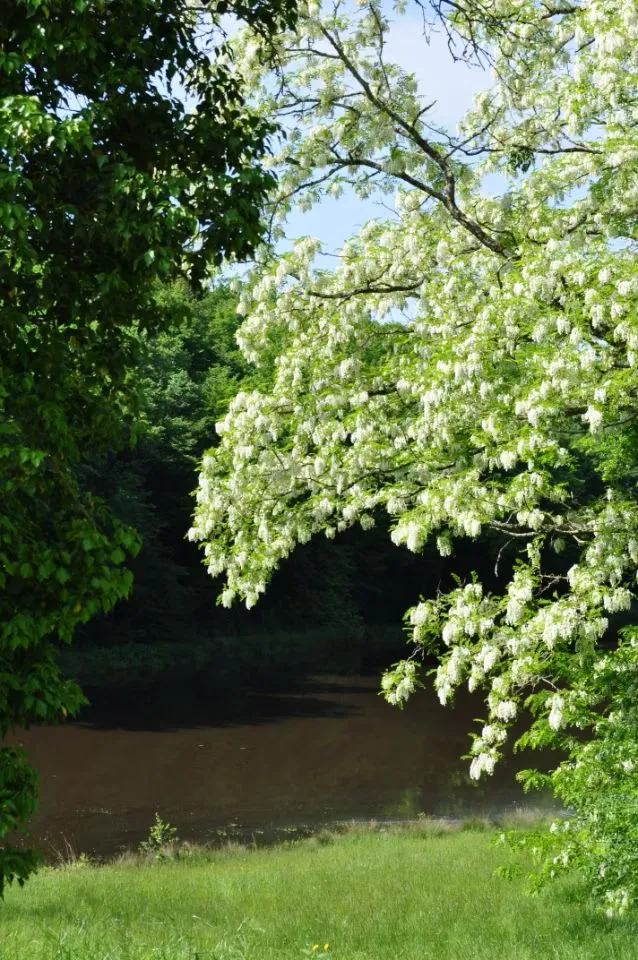 Gite en pleine nature avec spa et piscine / AB
