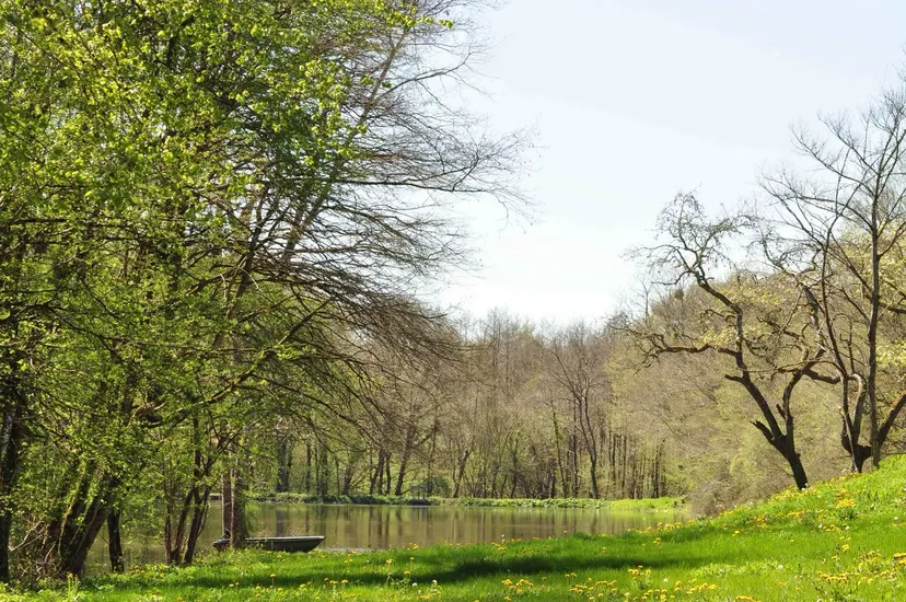 Gite en pleine nature avec spa et piscine / AB