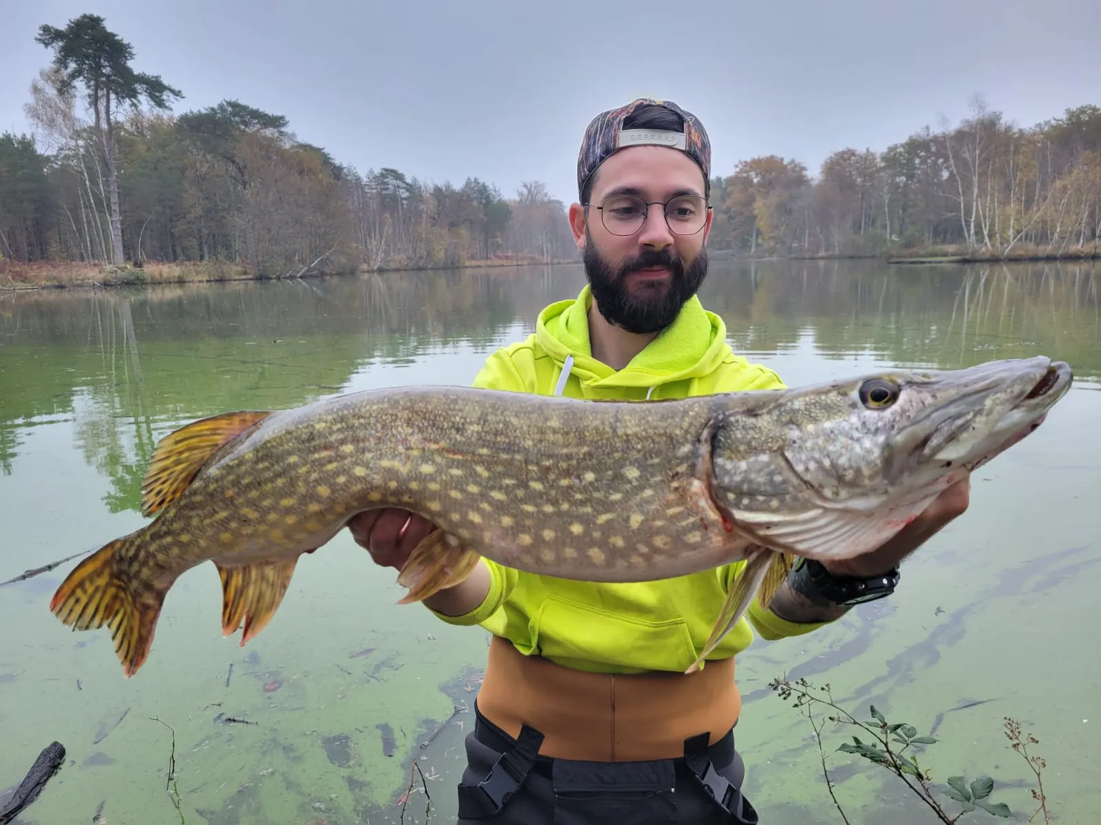 Location en Sologne, deux étangs avec une maison 4 couchages