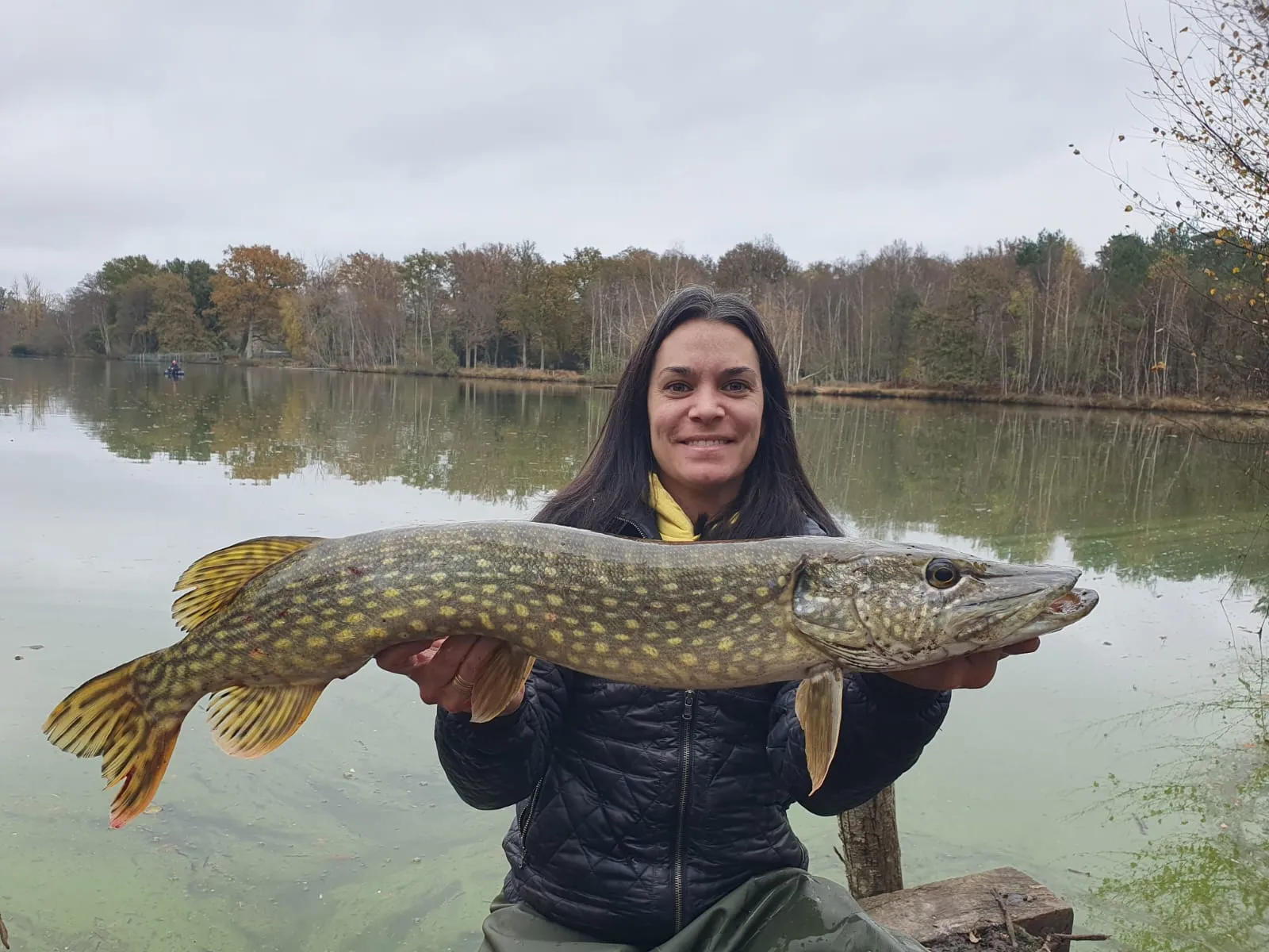 Location en Sologne, deux étangs avec une maison 4 couchages