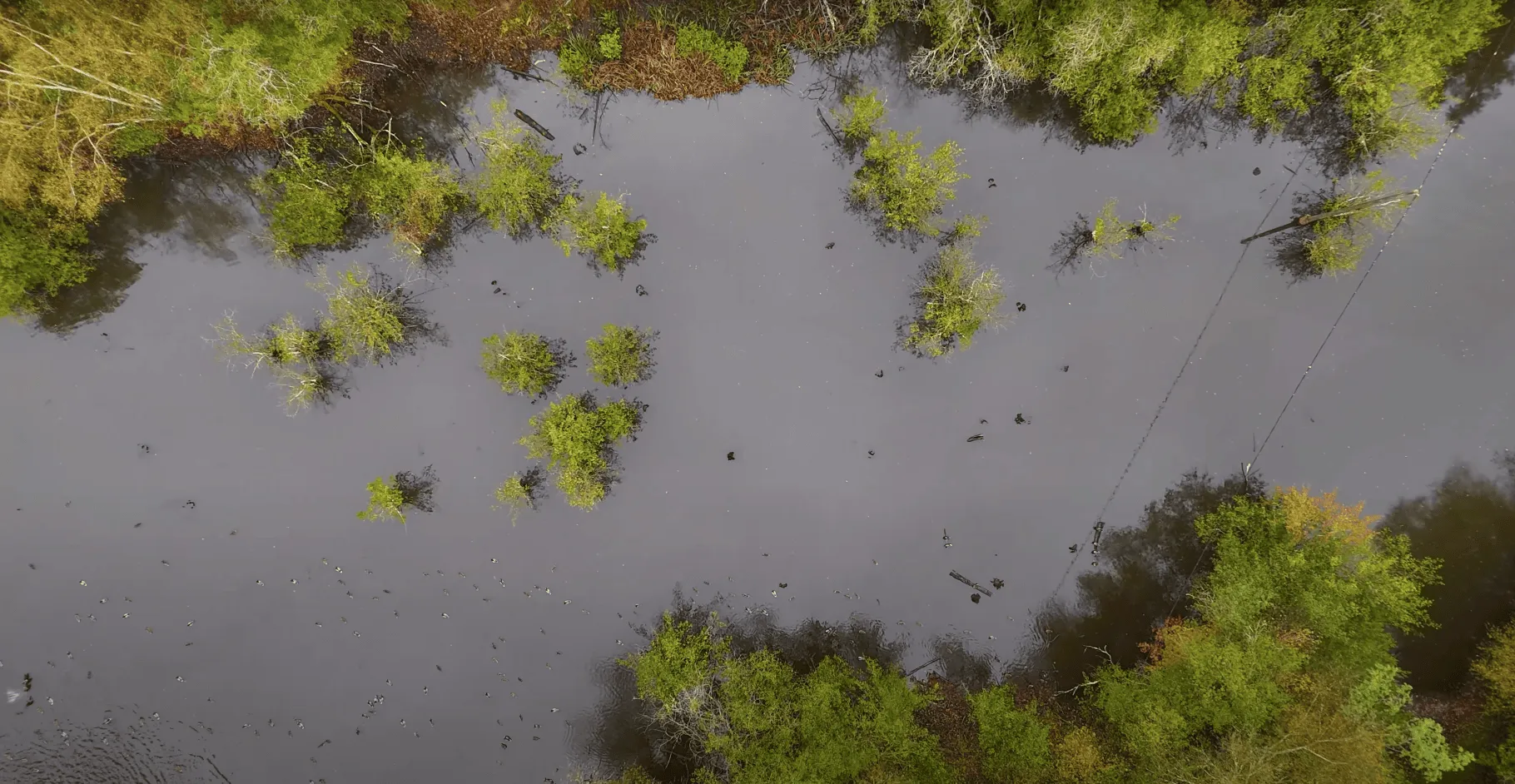 Location en Sologne, deux étangs avec une maison 4 couchages