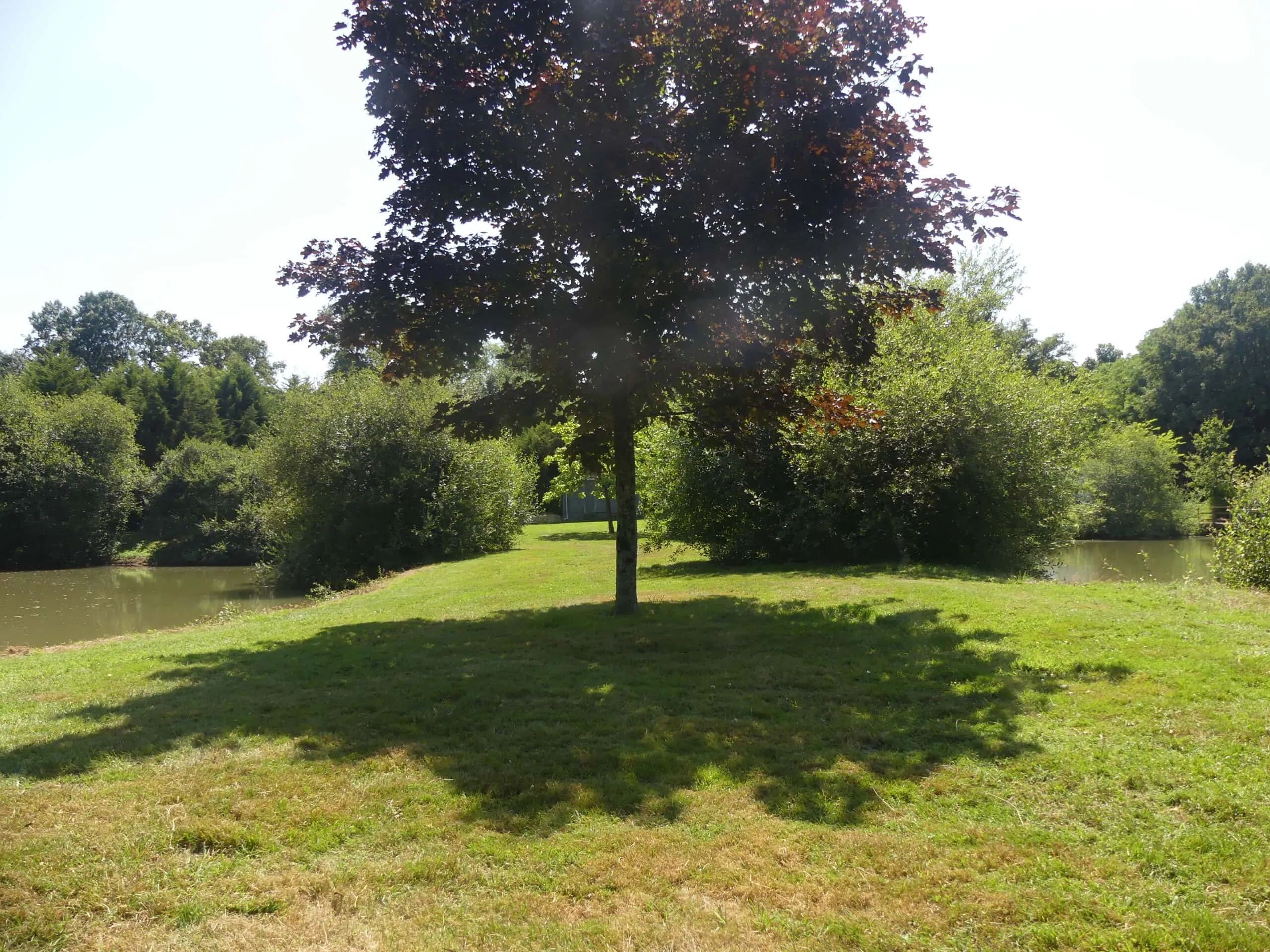 Gîte au bord d'un étang