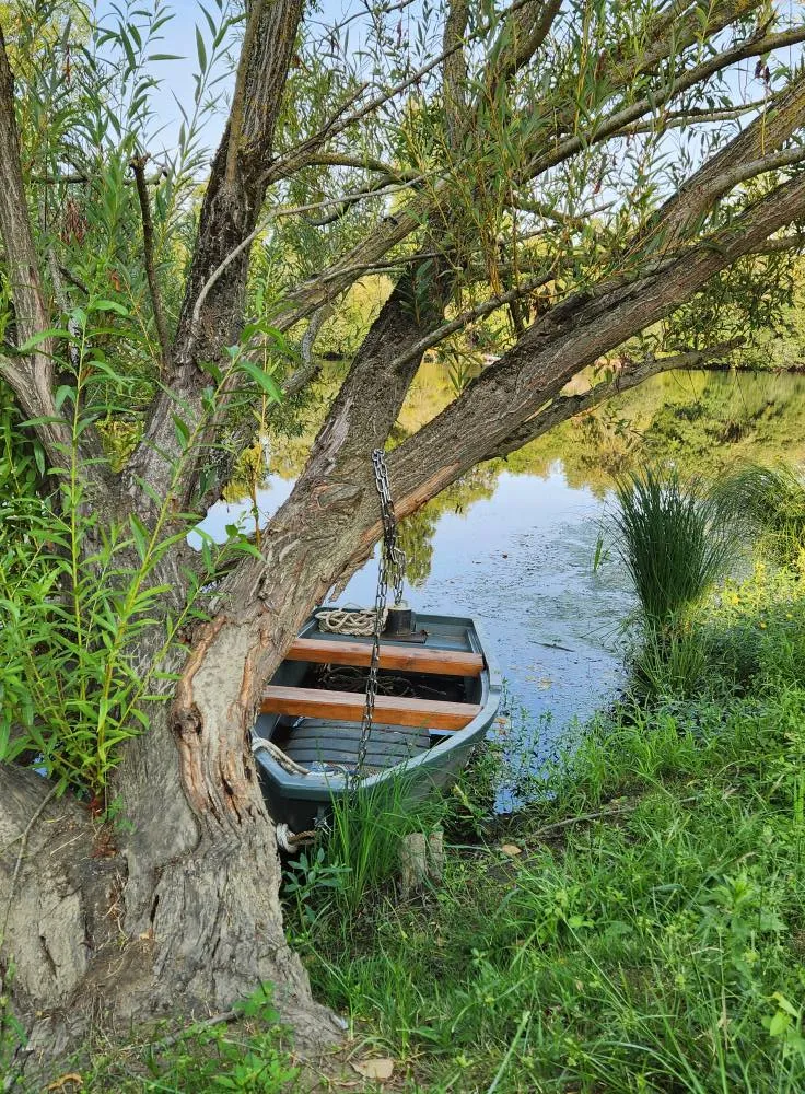 étang de 2 ha avec un coup de pêche en rivière à louer dans la Vienne