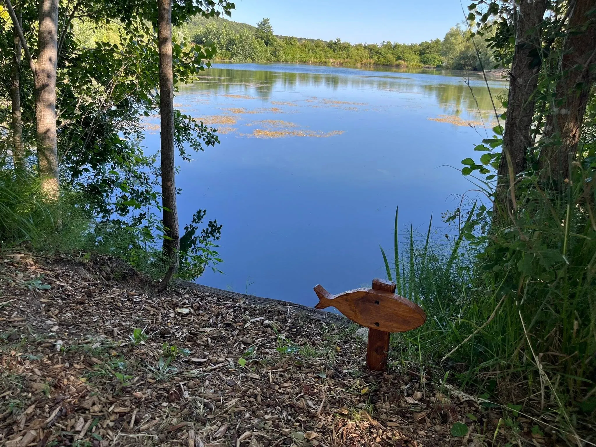 étang de 2 ha avec un coup de pêche en rivière à louer dans la Vienne