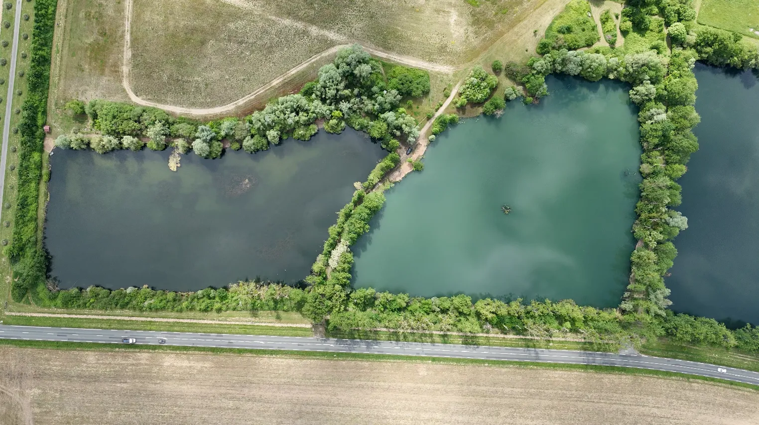 étang de 2 ha avec un coup de pêche en rivière à louer dans la Vienne