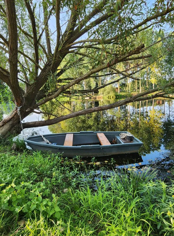 étang de 2 ha avec un coup de pêche en rivière à louer dans la Vienne