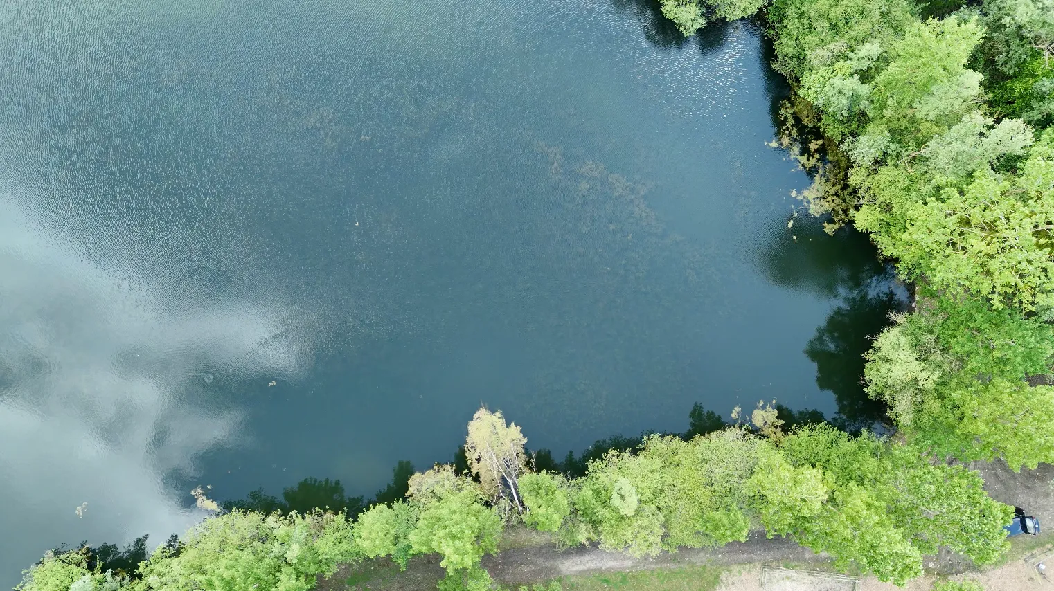 étang de 2 ha avec un coup de pêche en rivière à louer dans la Vienne