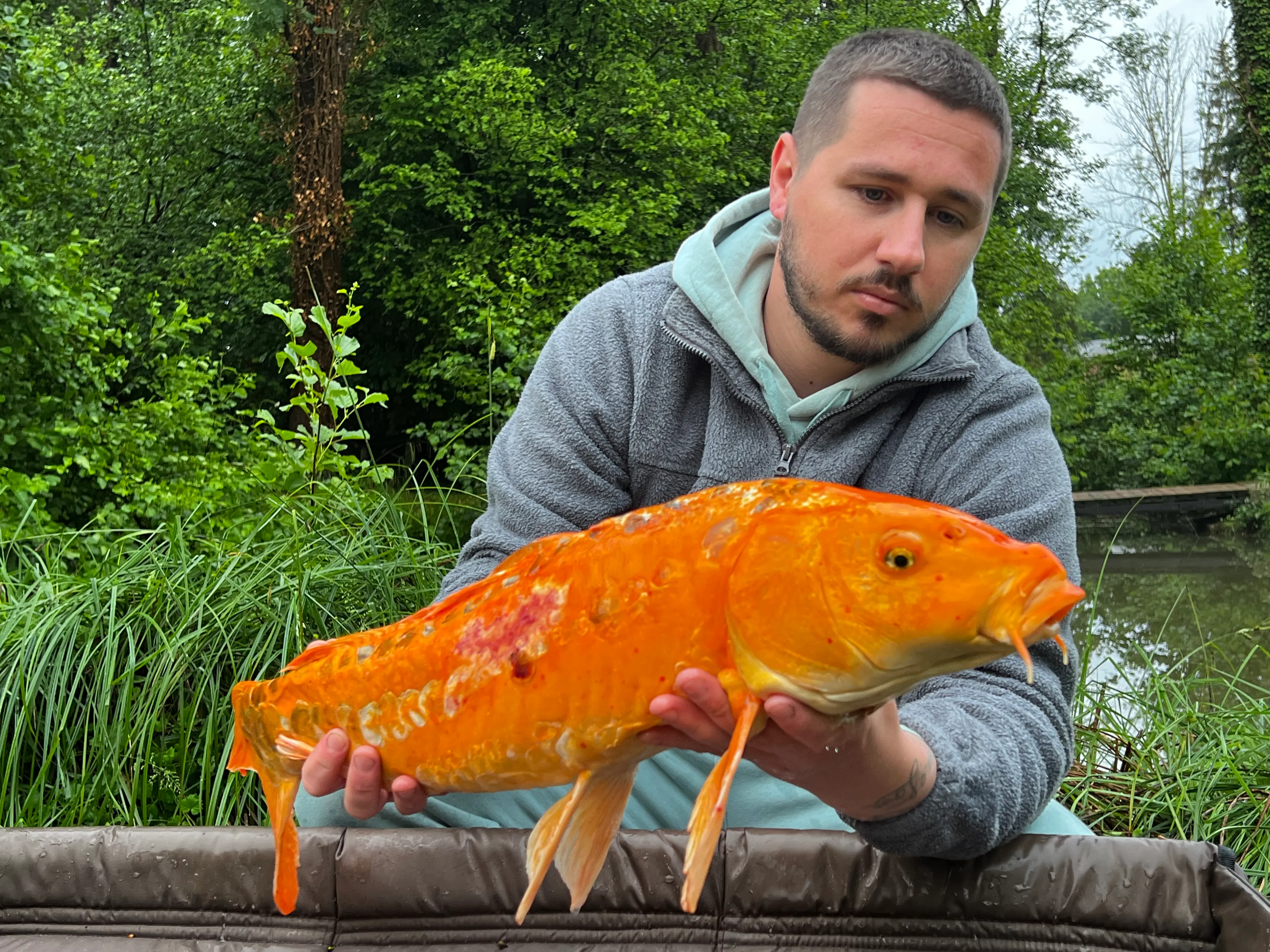 Terrain de loisir avec son étang de pêche
