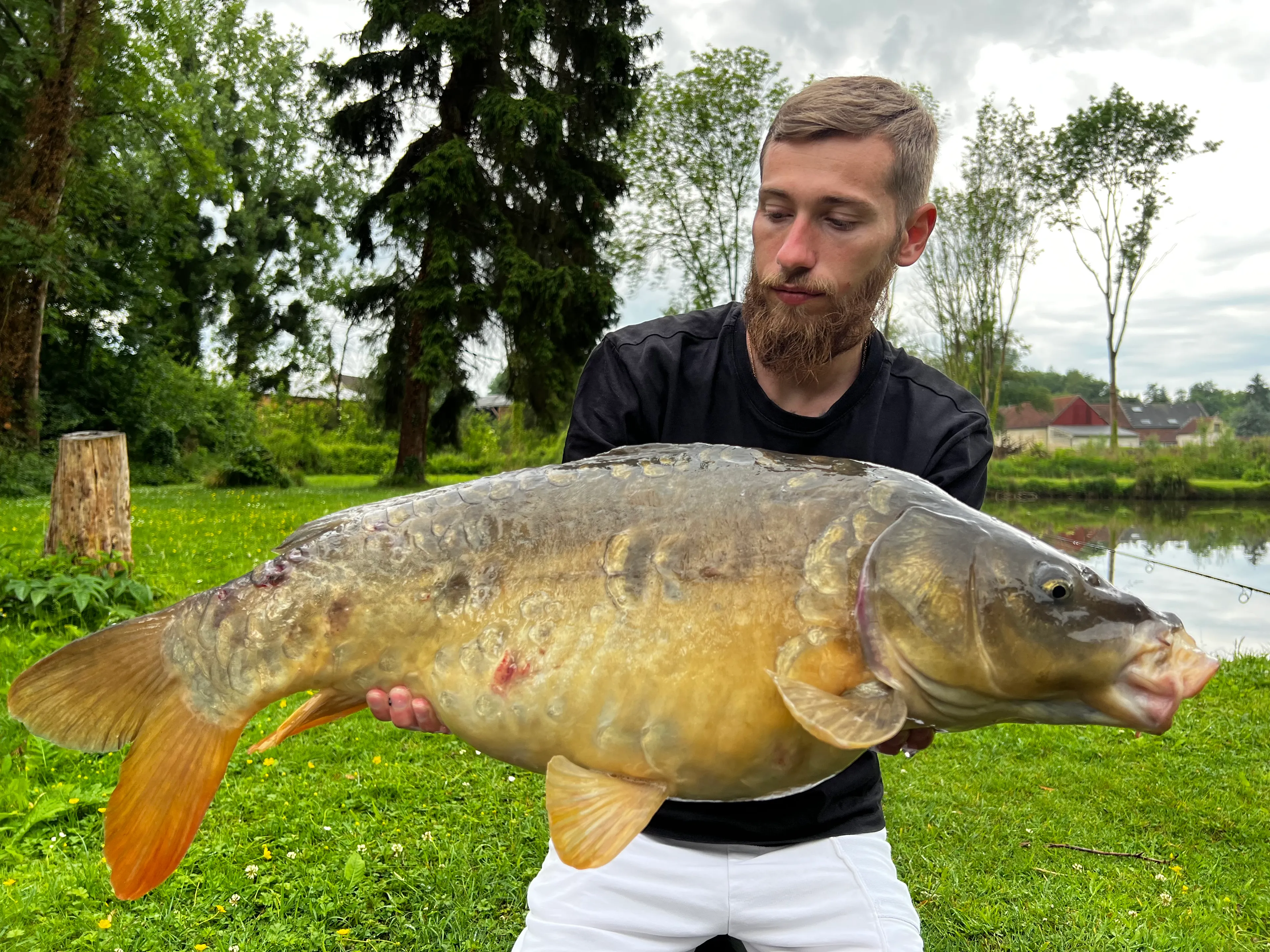 Terrain de loisir avec son étang de pêche