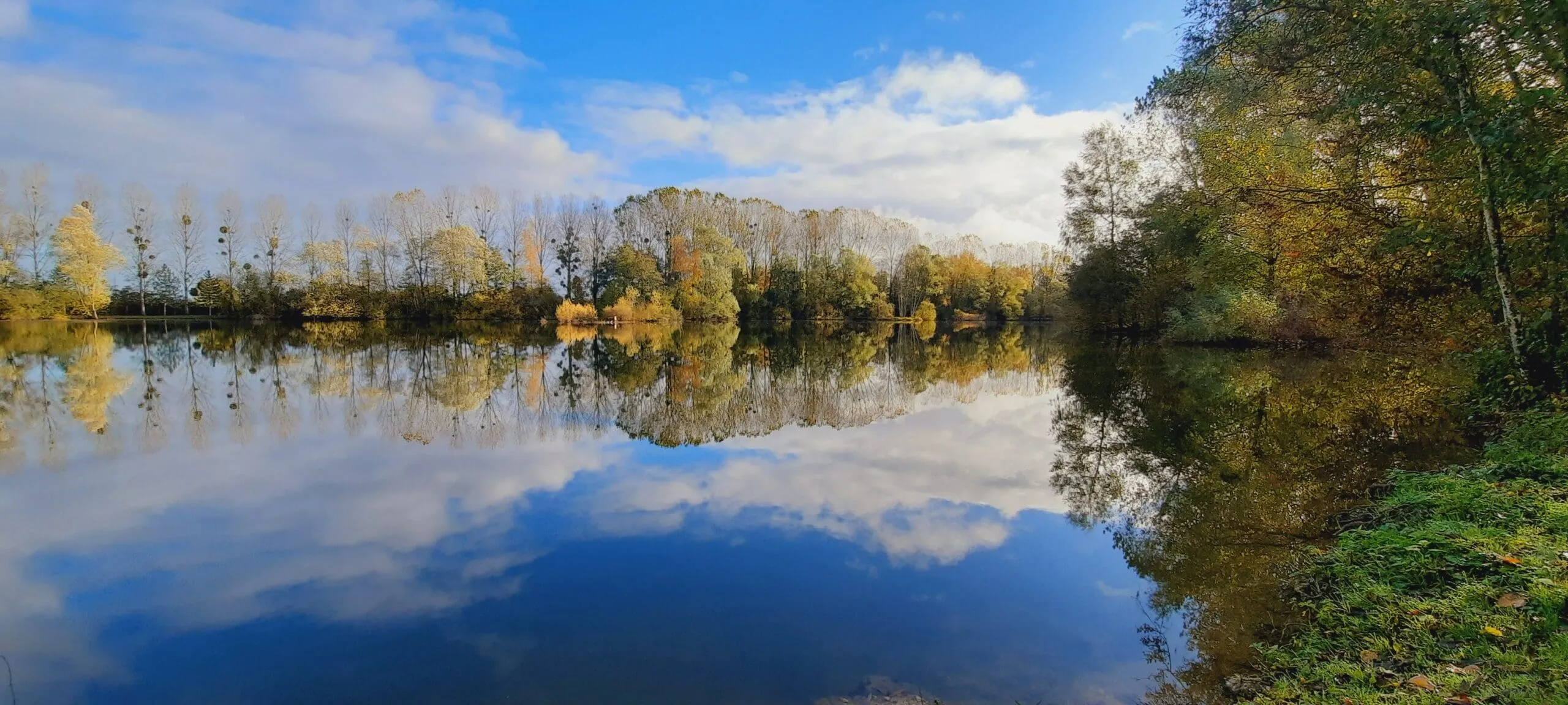 Etang de 3.5ha avec 5 postes de pêche