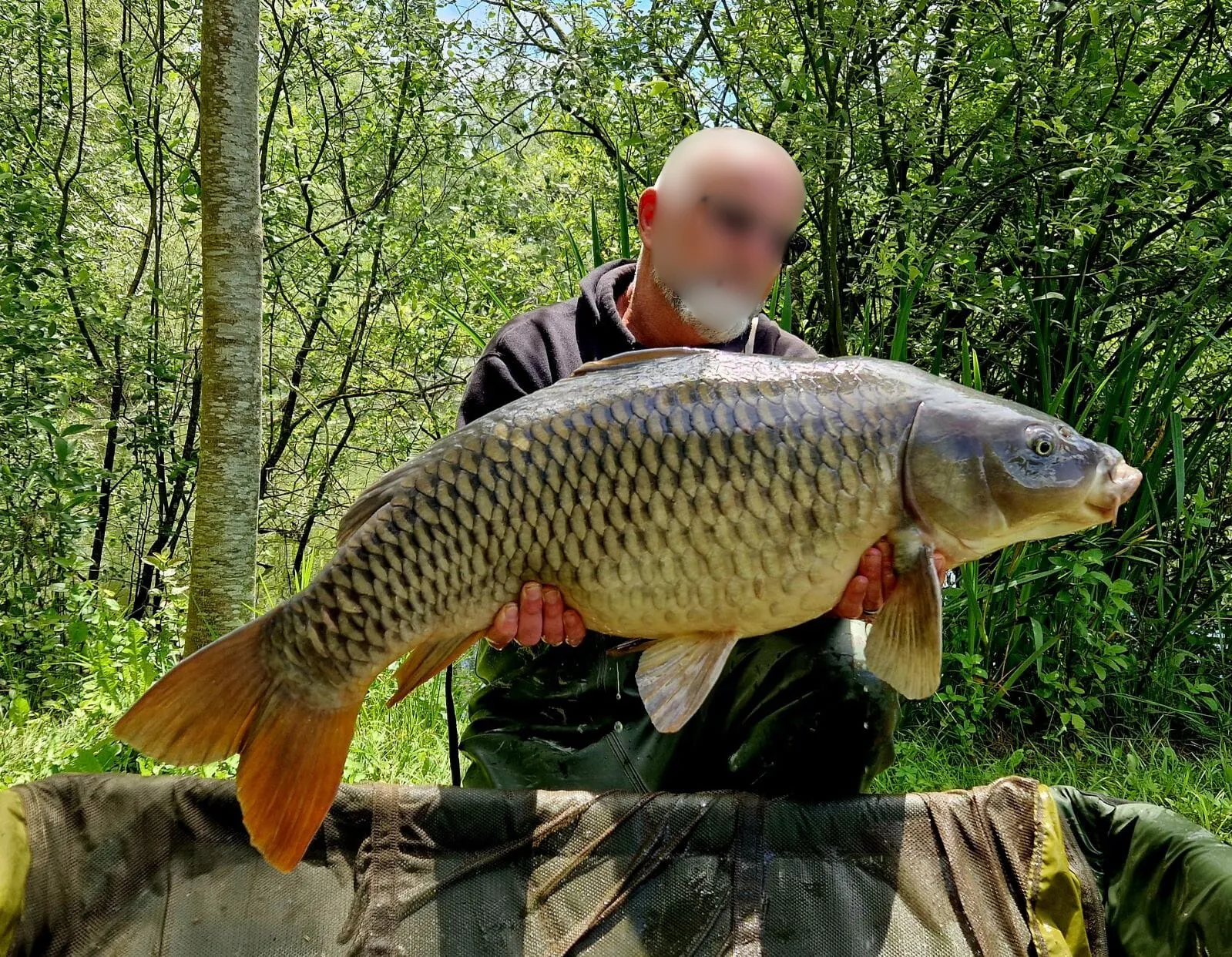 Etang de 3.5ha avec 5 postes de pêche