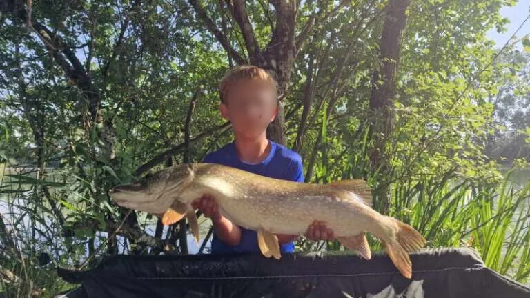 Etang de 3.5ha avec 5 postes de pêche