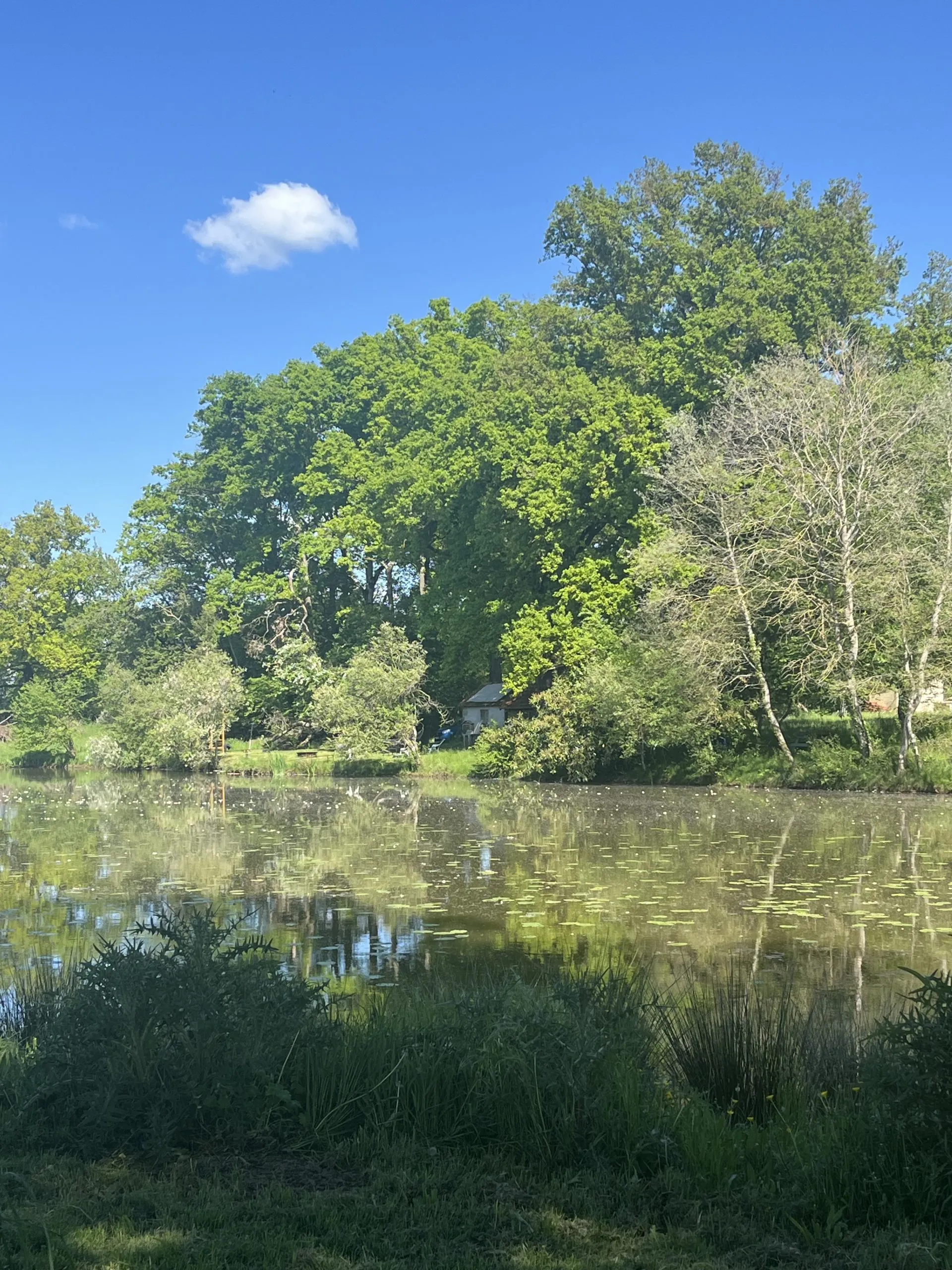 Étang sauvage de 1 ha sur 3 ha de tranquillité avec cabane