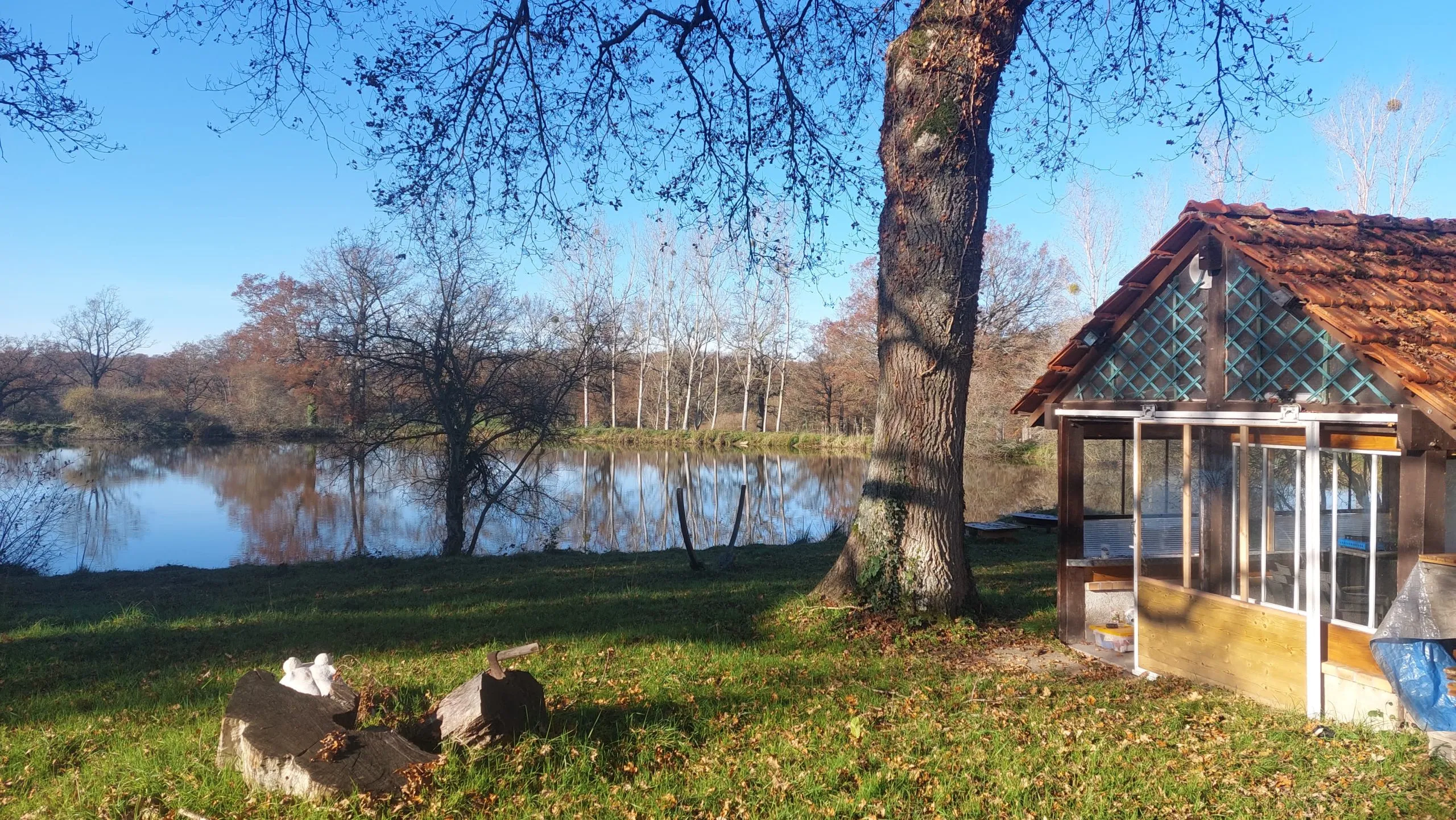 Étang sauvage de 1 ha sur 3 ha de tranquillité avec cabane