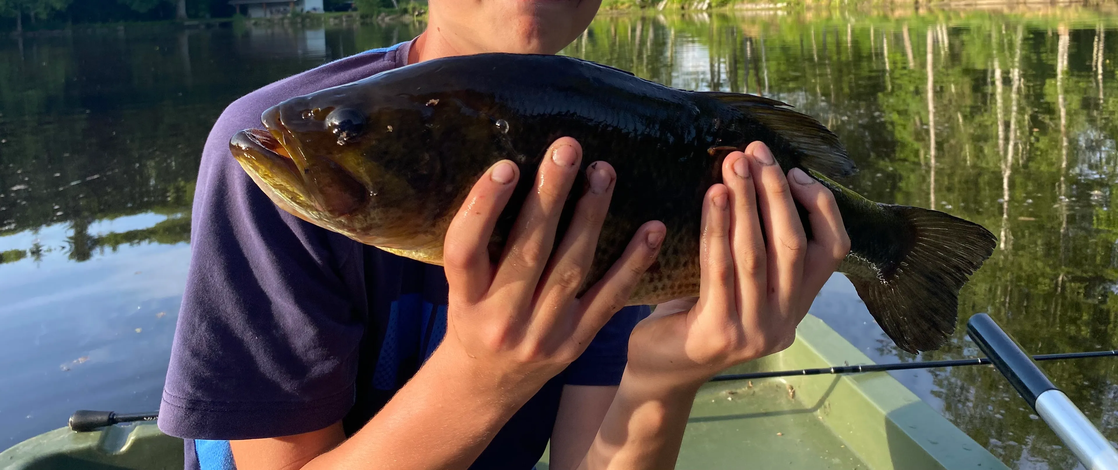 Paradis sauvage au cœur de la Haute-Saône (Plateau des Mille Étangs)