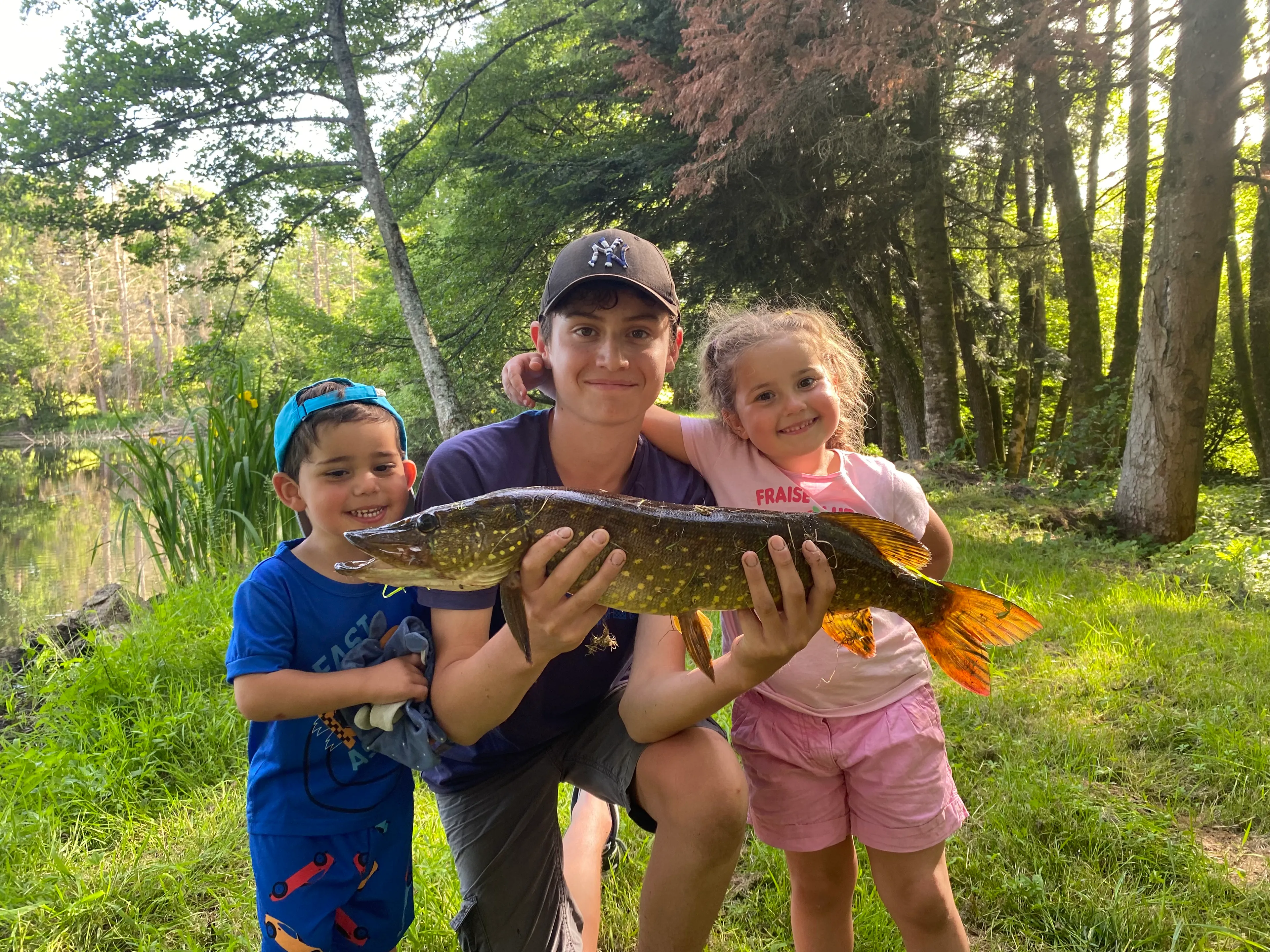 Paradis sauvage au cœur de la Haute-Saône (Plateau des Mille Étangs)