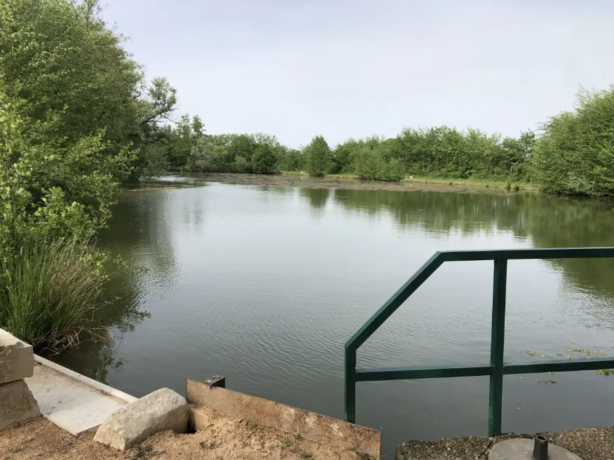 Cabane insolite avec plan d’eau au cœur de la Dombes