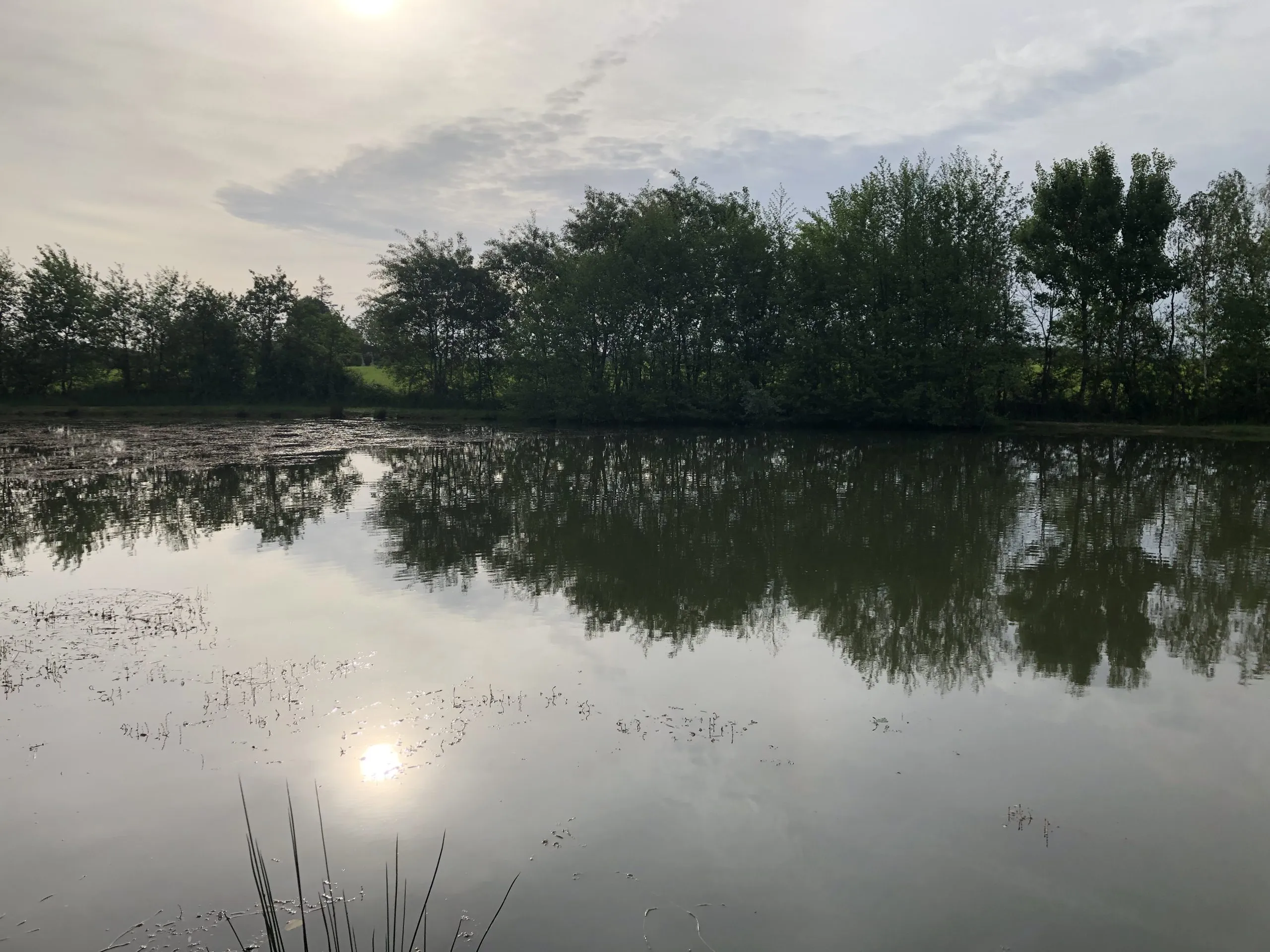 Cabane insolite avec plan d’eau au cœur de la Dombes