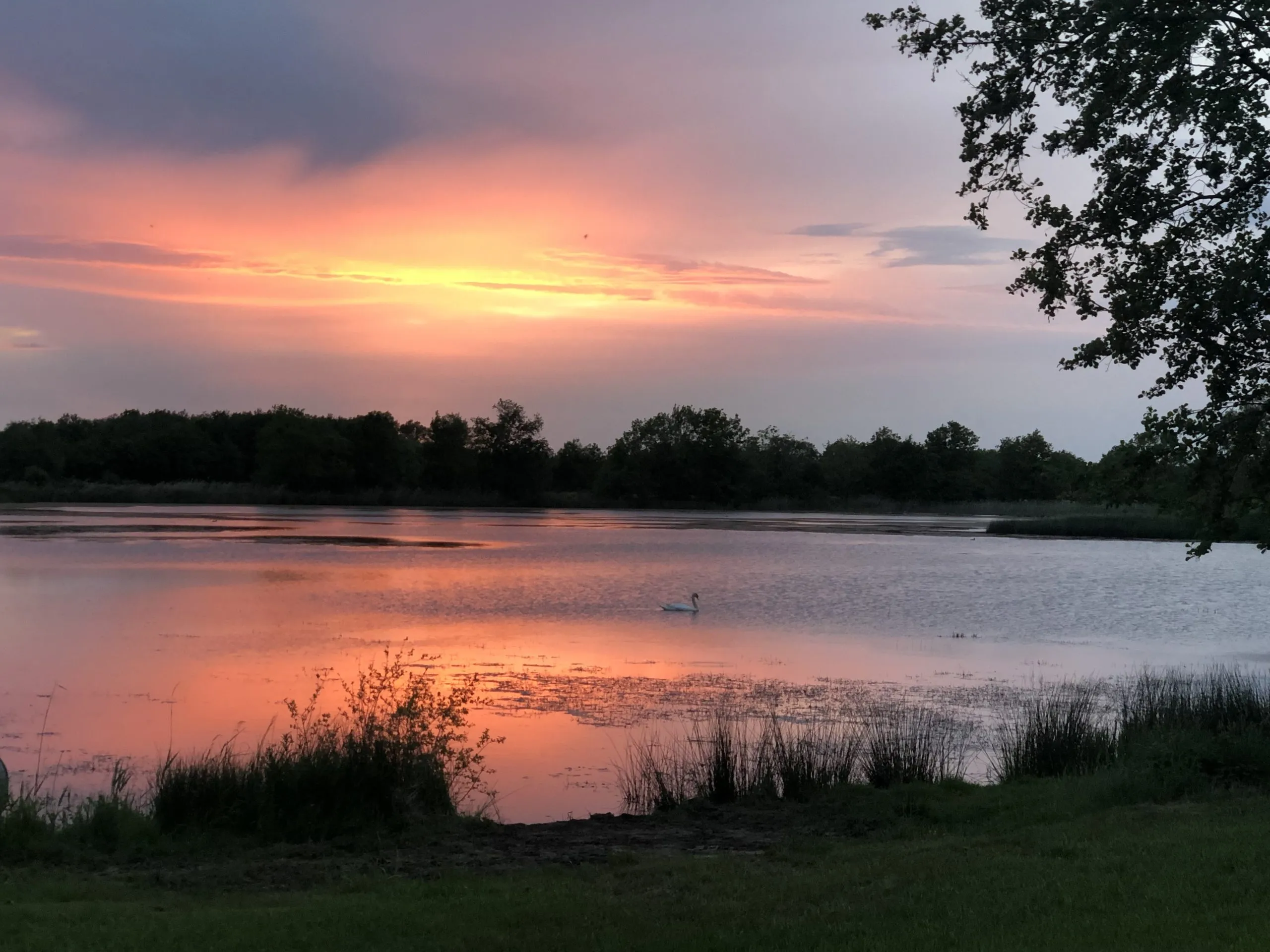 Cabane insolite avec plan d’eau au cœur de la Dombes