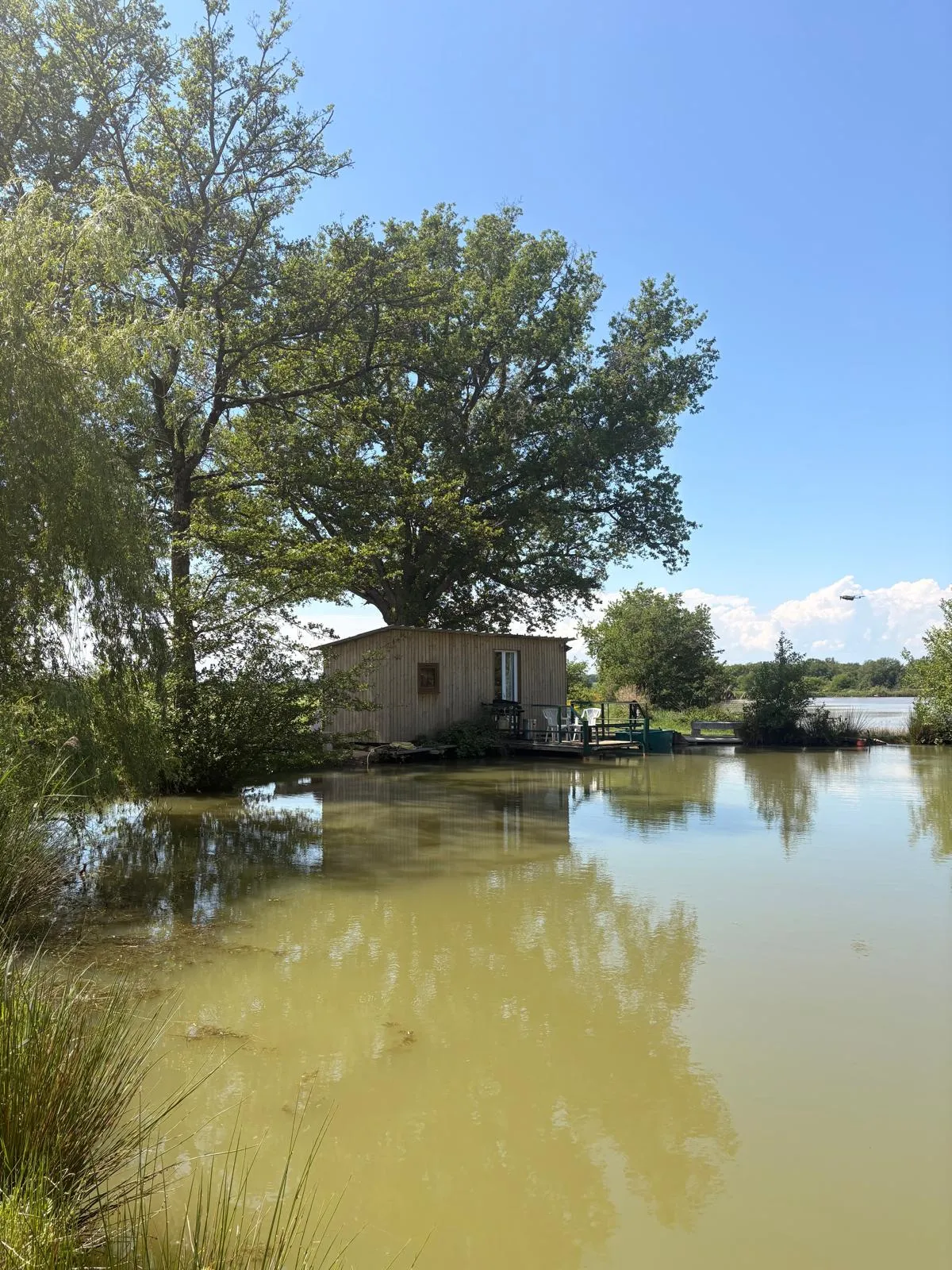 Cabane insolite avec plan d’eau au cœur de la Dombes