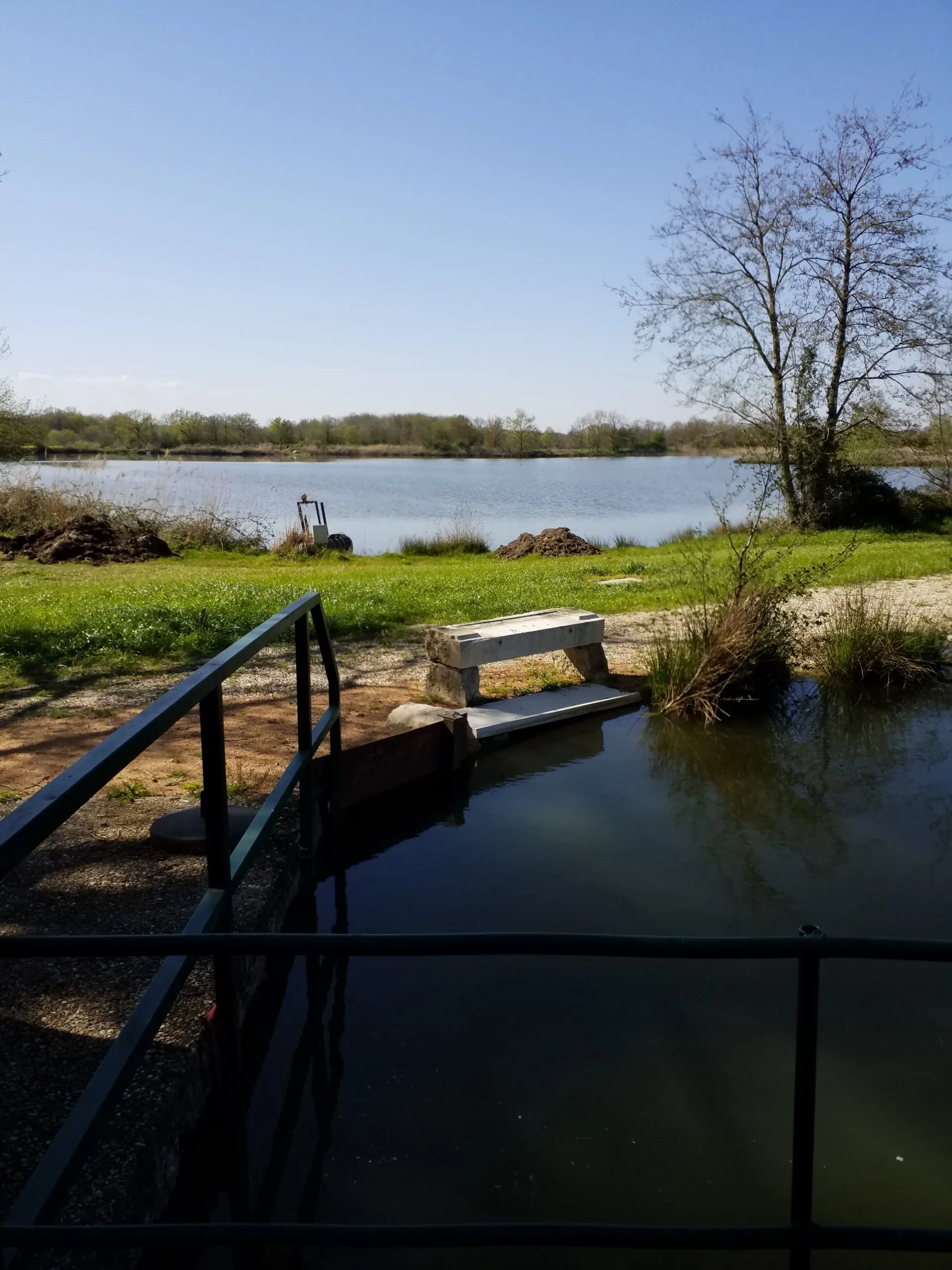 Cabane insolite avec plan d’eau au cœur de la Dombes
