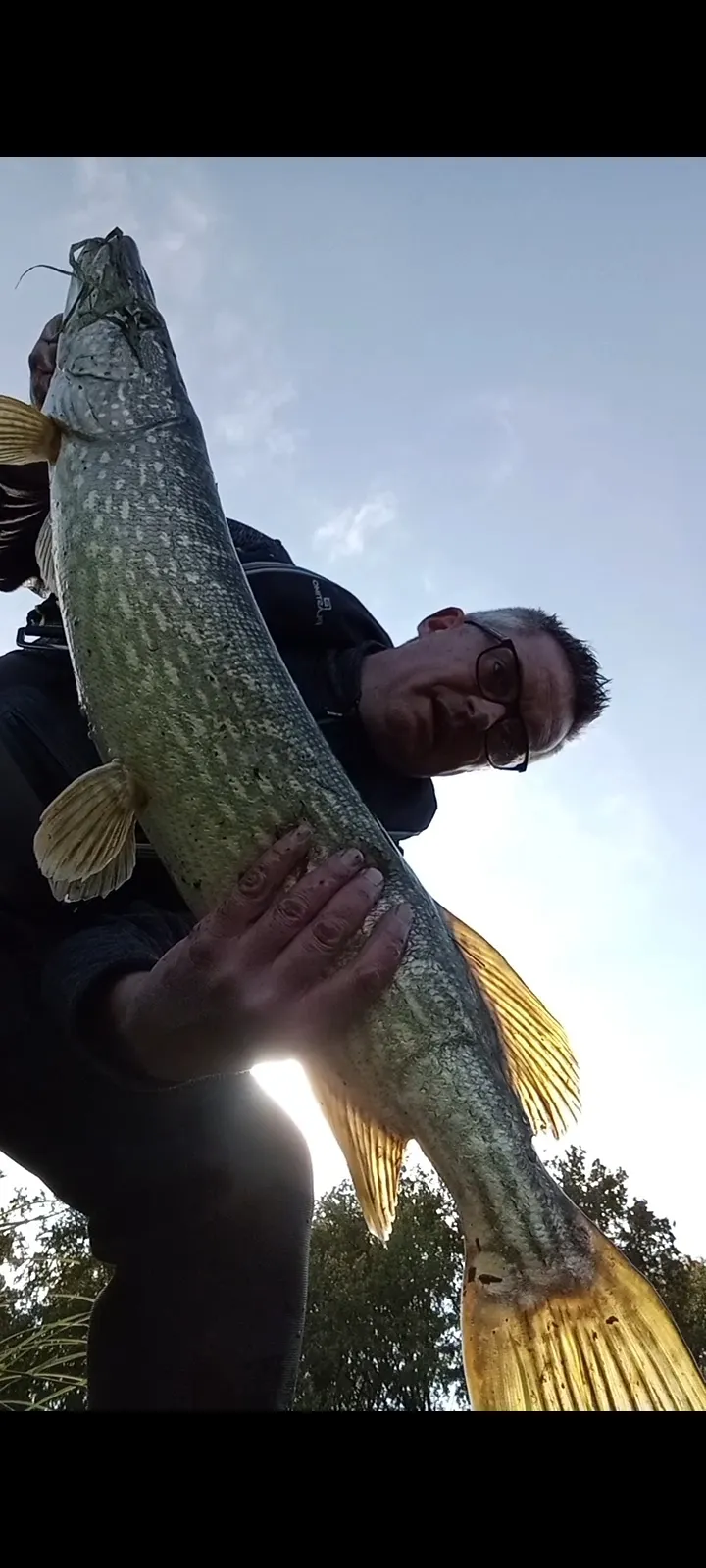 Location de l’étang du Pin de 12ha en privatisation pour un séjour de pêche à côté de Paris