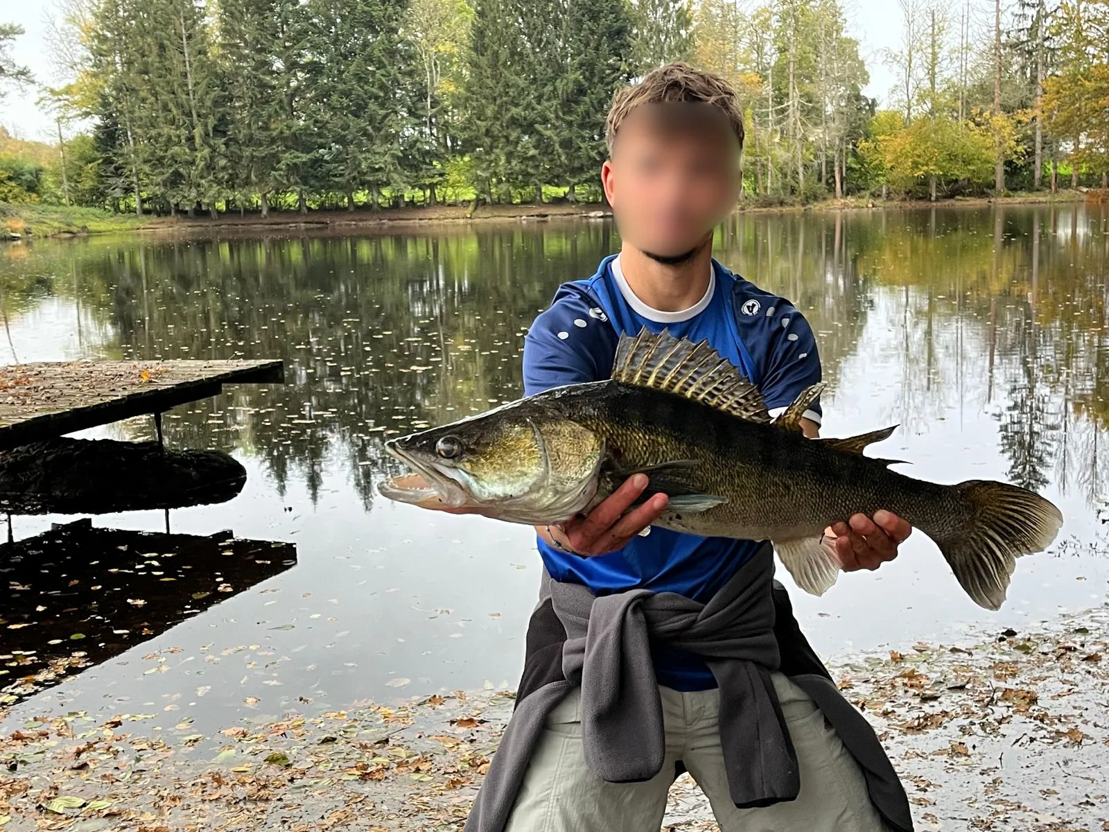 Paradis sauvage au cœur de la Haute-Saône (Plateau des Mille Étangs)