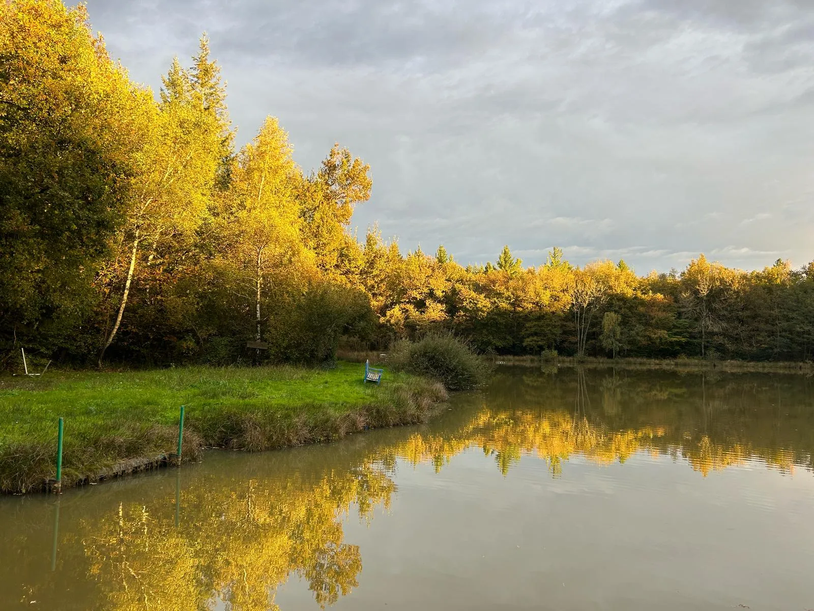 Chalet avec étang privé au cœur d’une propriété de 10 hectares