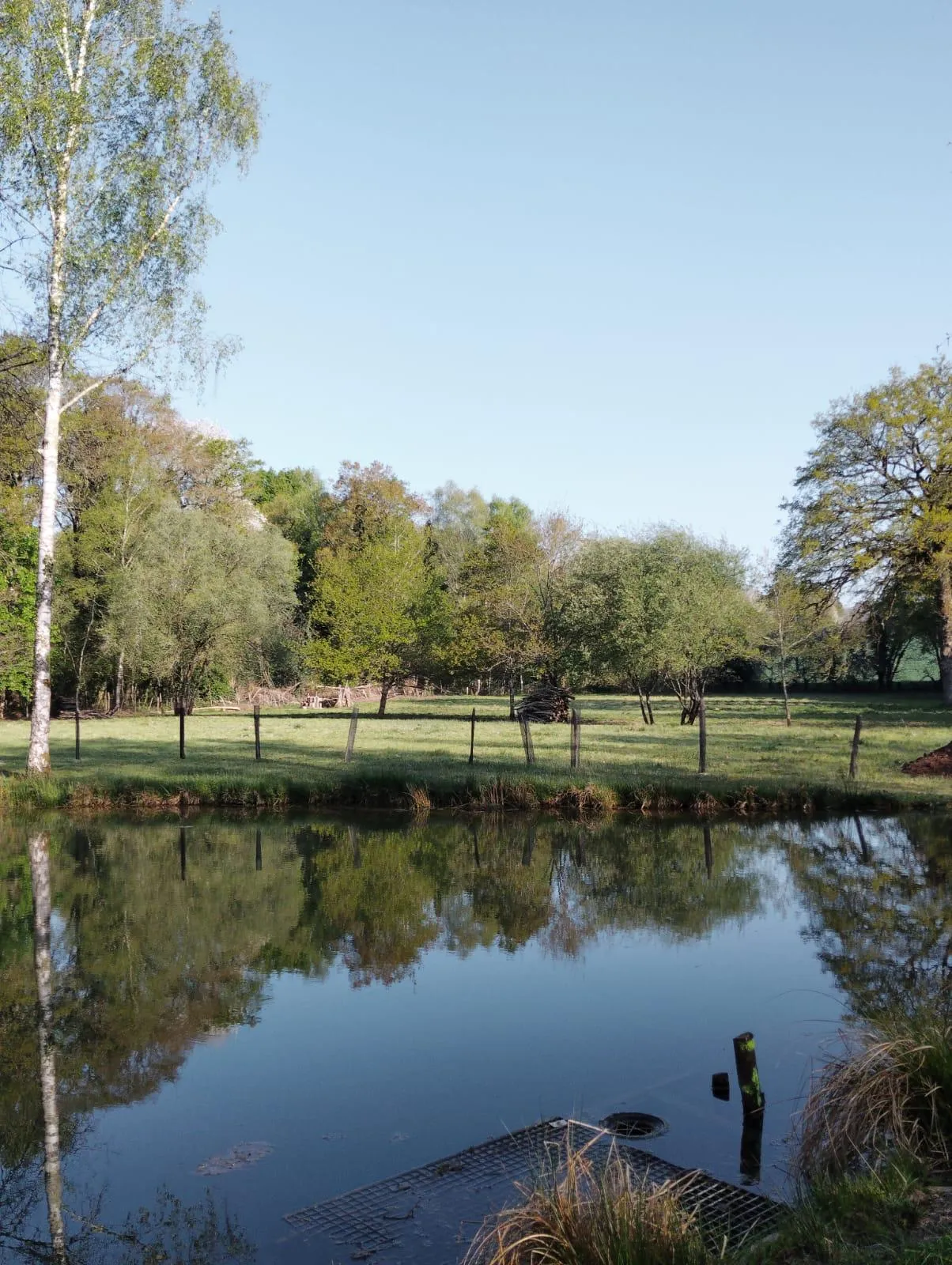 Étang privée pour du camping
