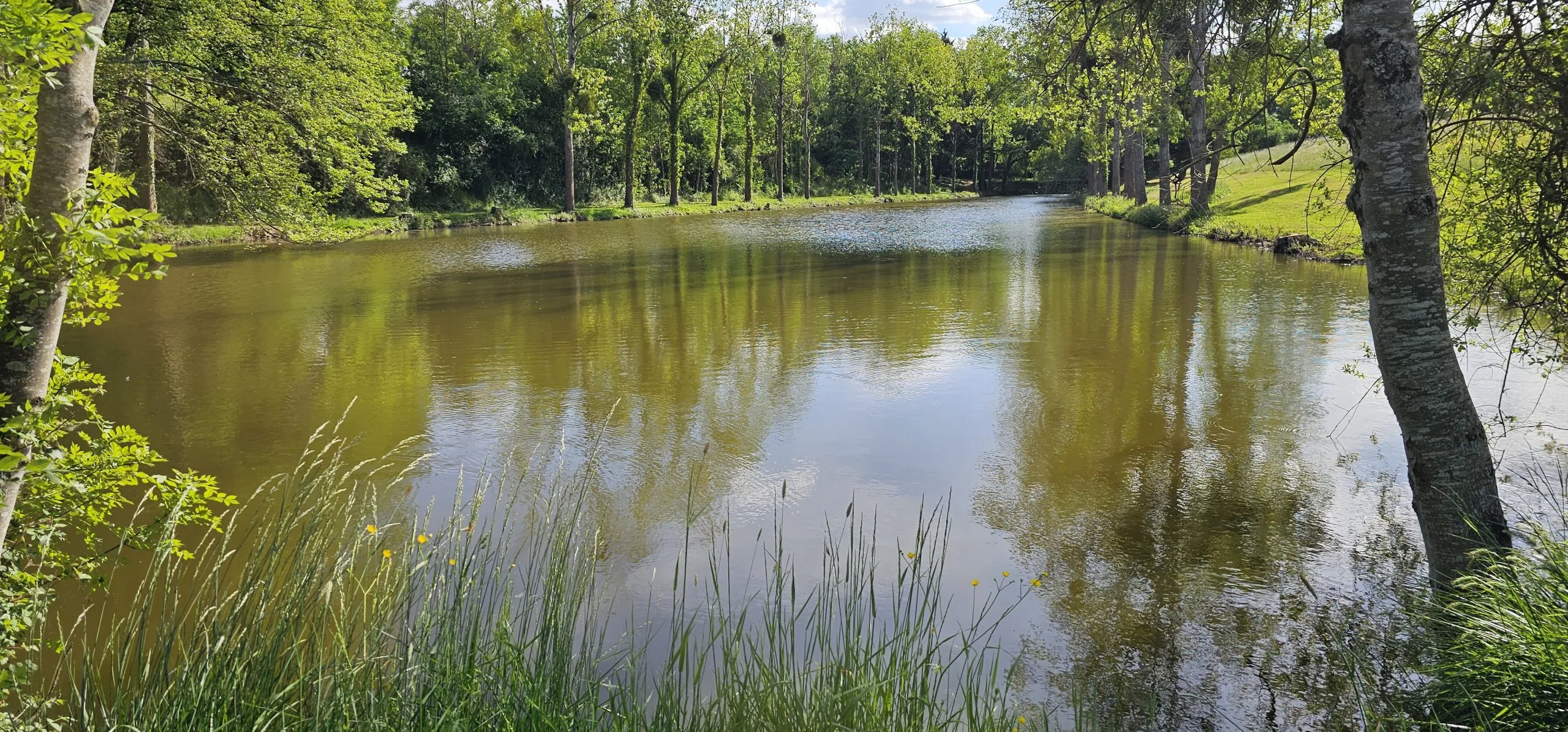 Un étang familial pour une journée détente et initiation à la pêche
