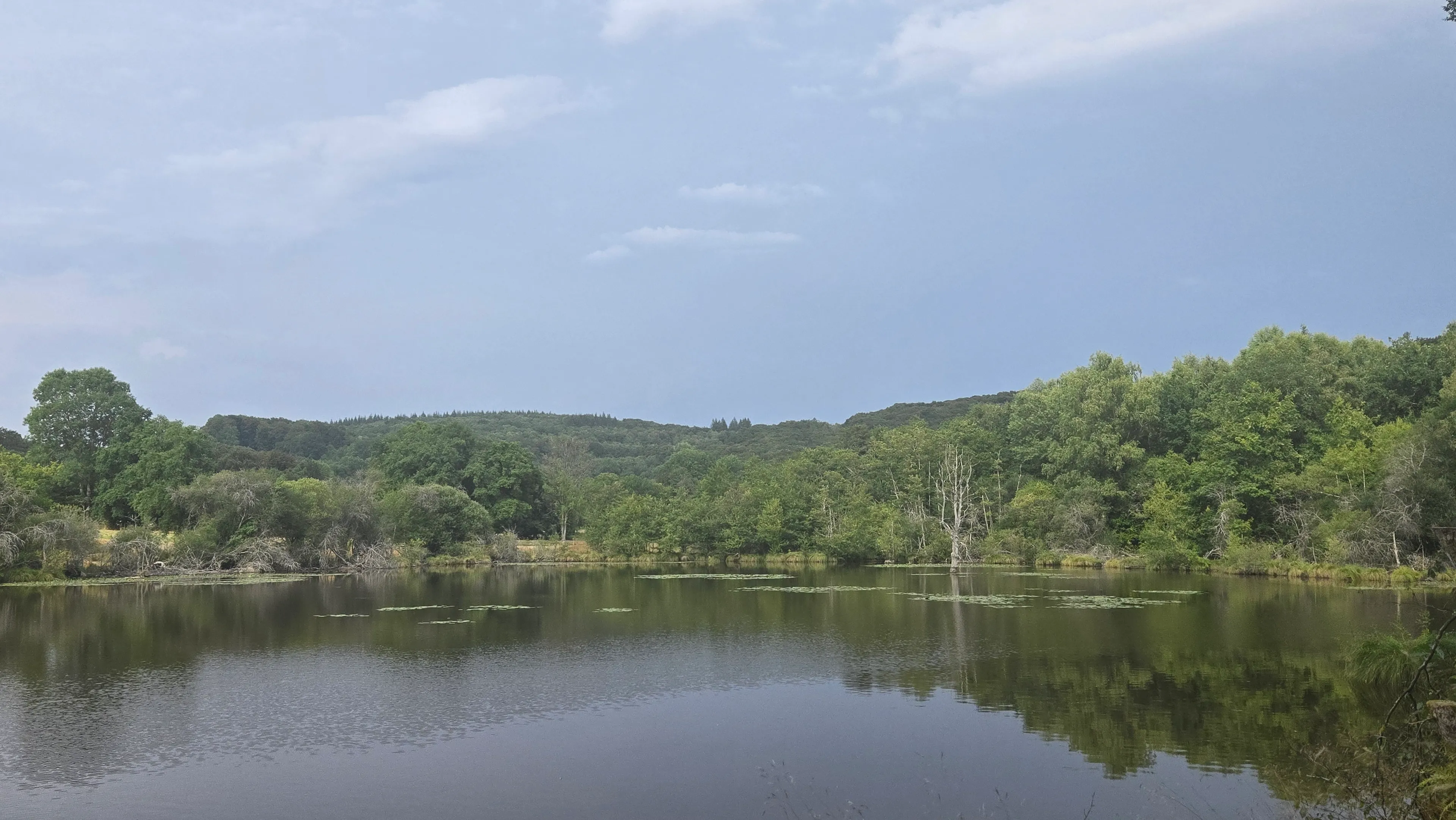 Etang à louer de 3ha dans la Creuse avec sa cabane  de pêcheur
