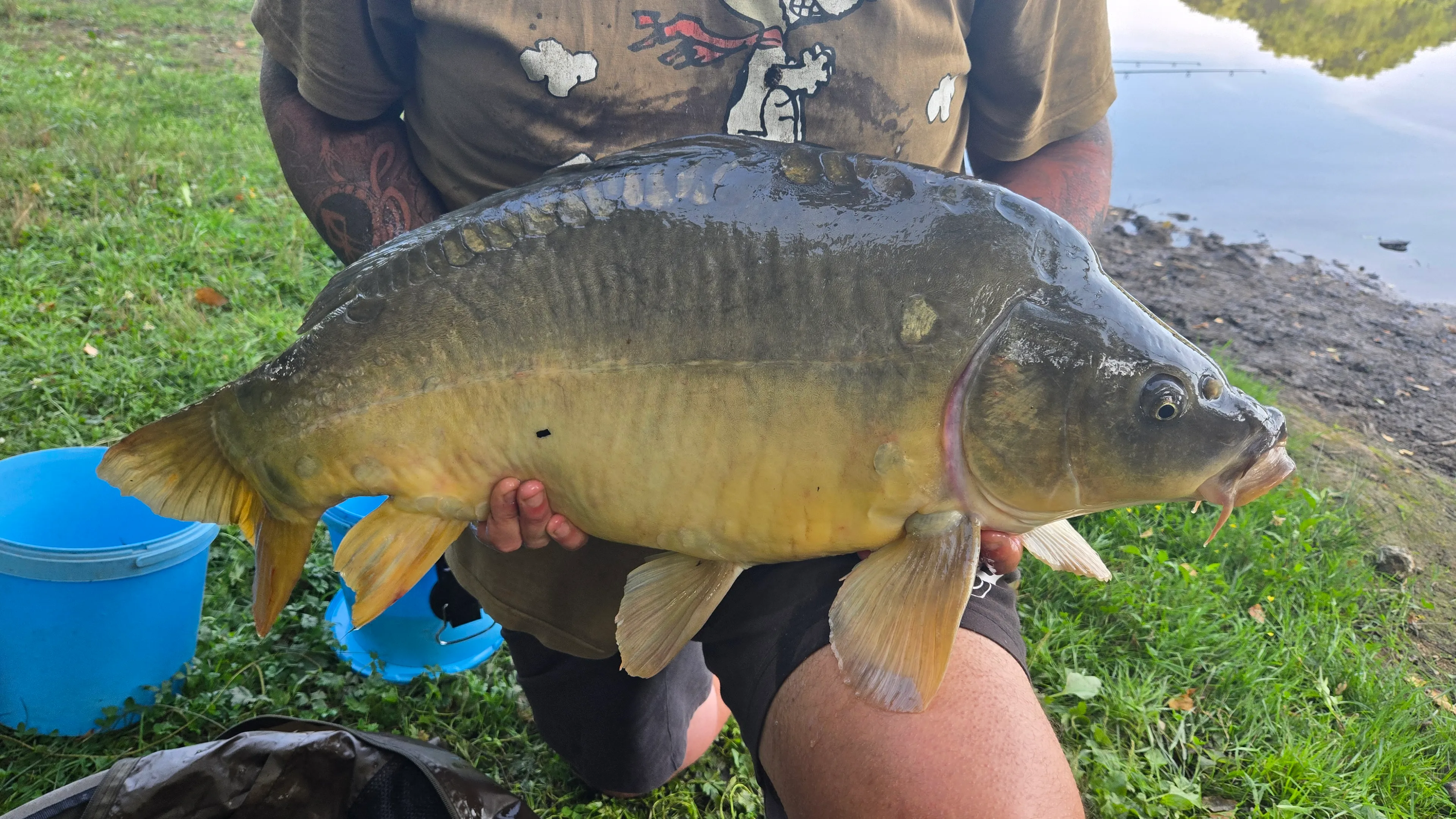 Etang à louer de 3ha dans la Creuse avec sa cabane  de pêcheur
