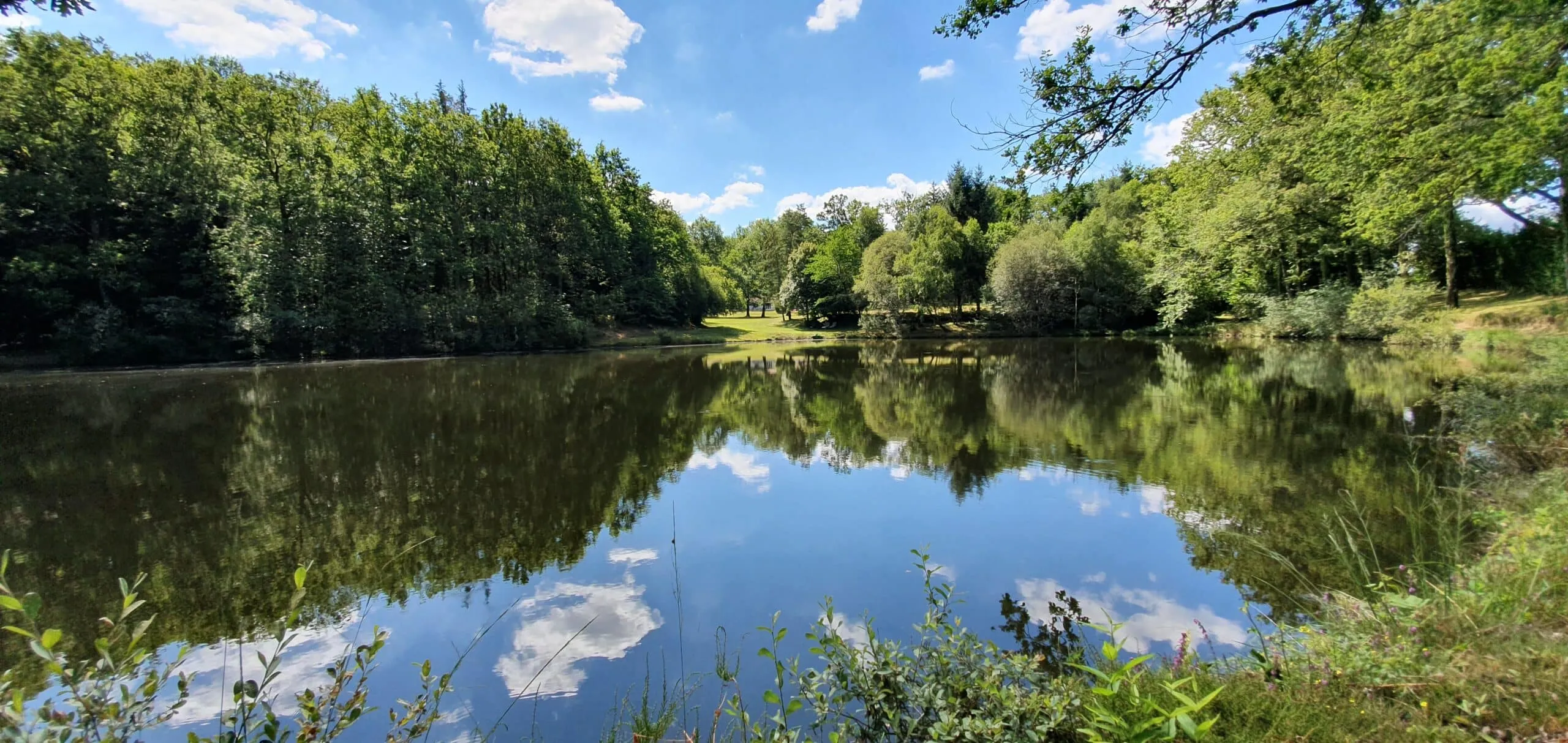 Deux étangs avec gite de pêche en Dordogne pour 4 personnes