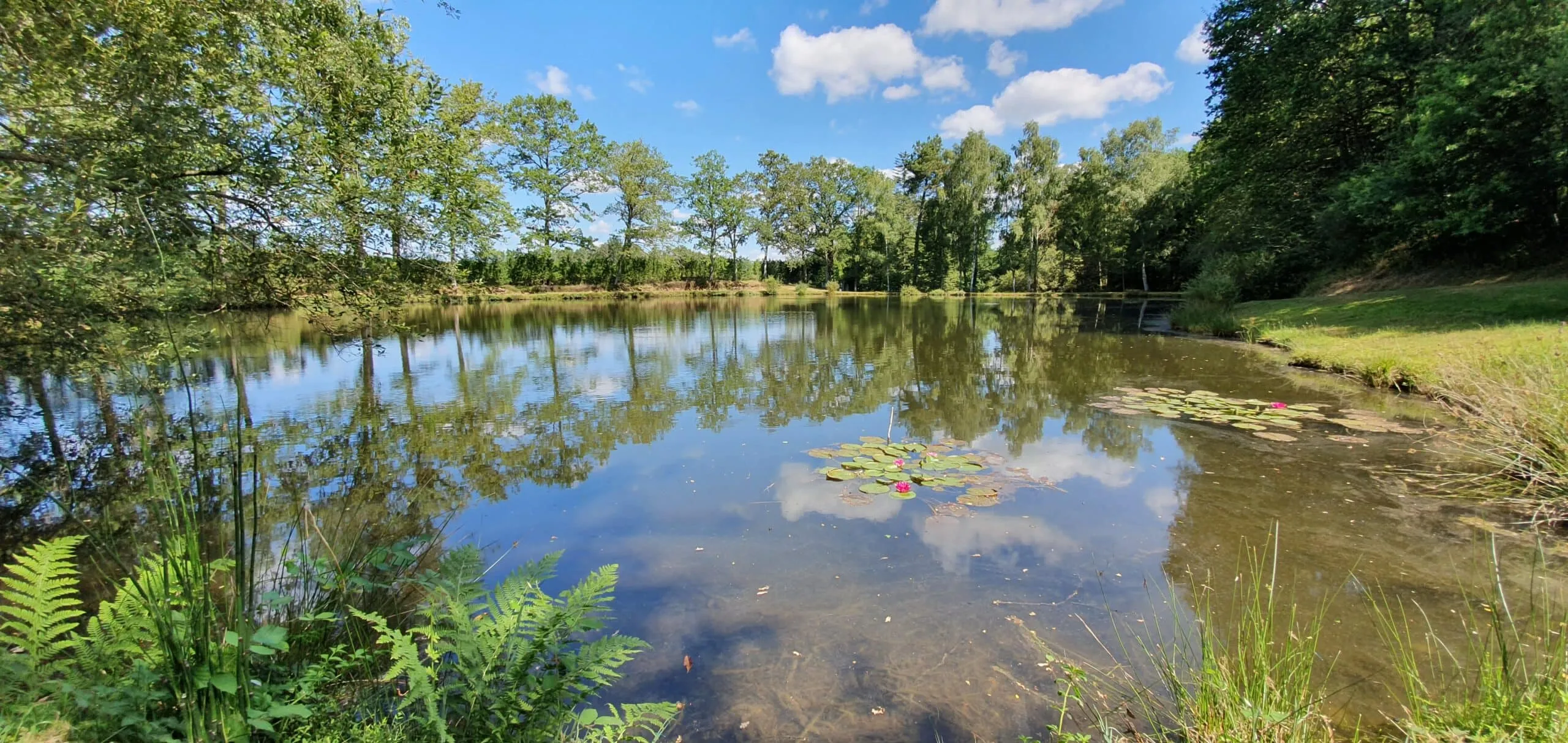 Deux étangs avec gite de pêche en Dordogne pour 4 personnes