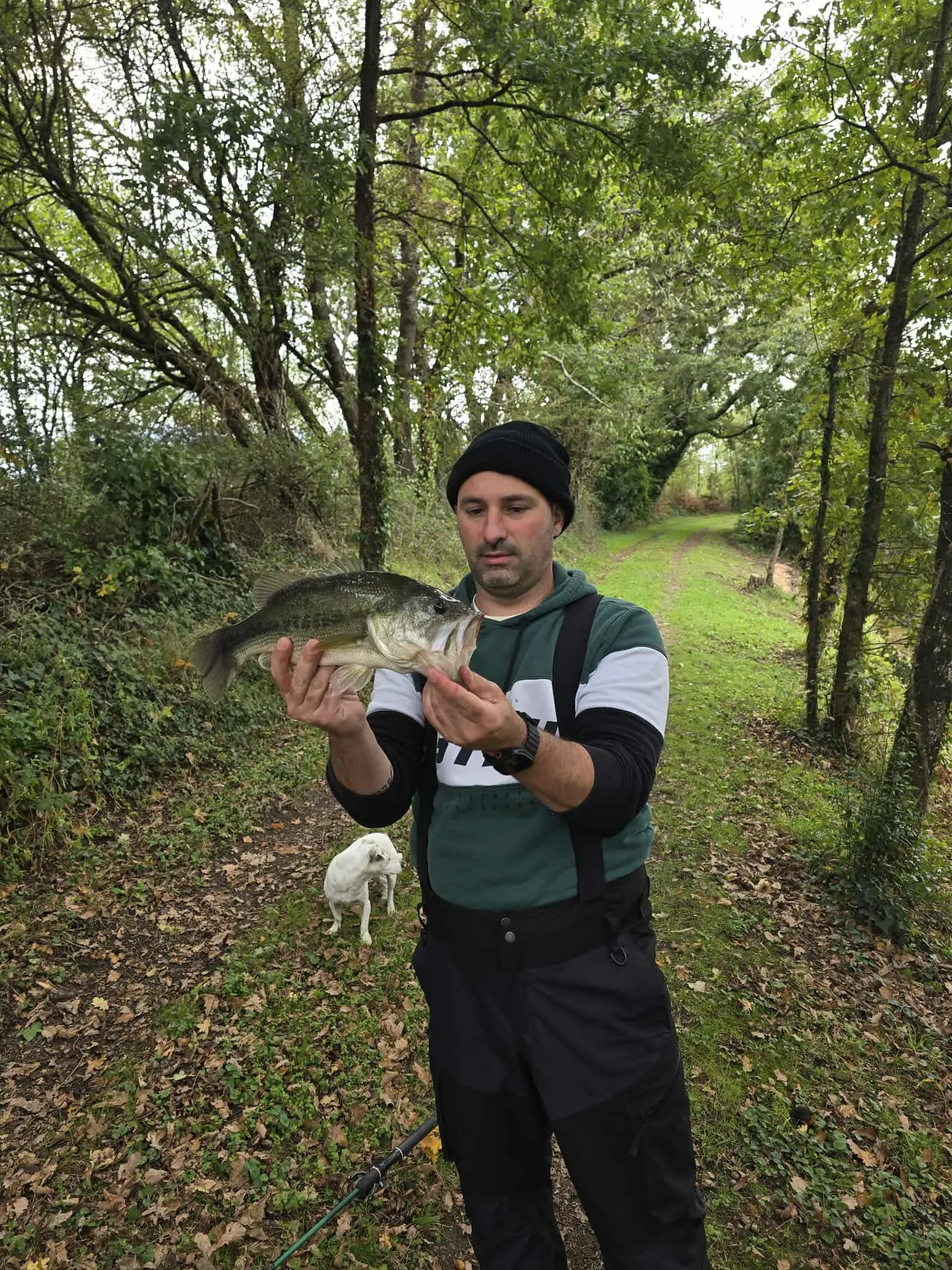 Trois étangs avec son chalet en Nouvelle-Aquitaine
