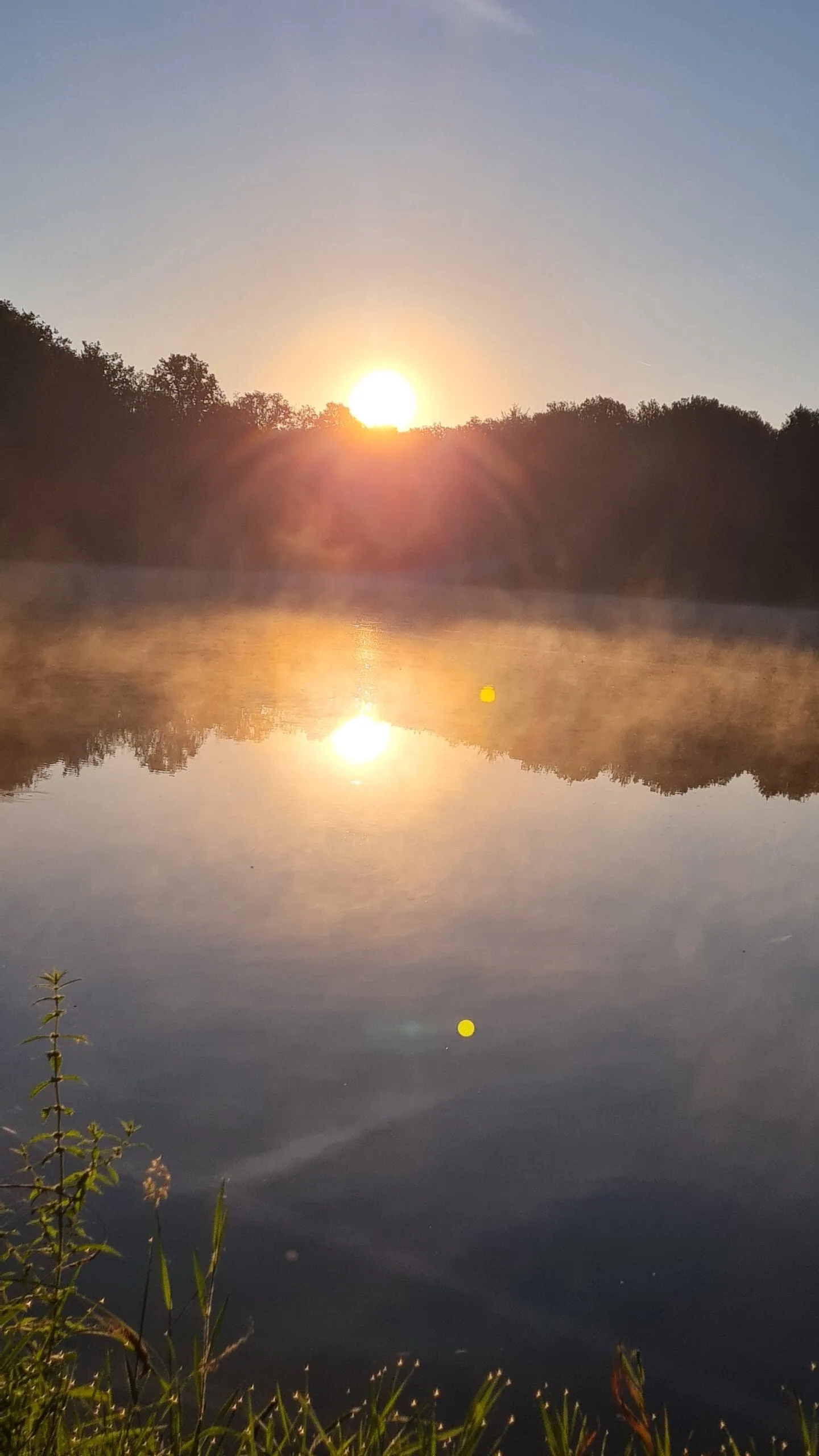 Étang au milieu de la forêt avec chalet