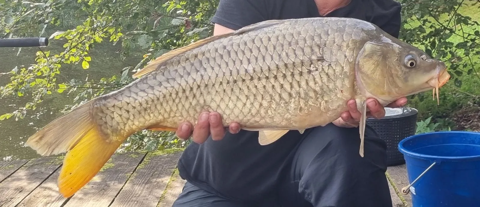Étang au milieu de la forêt avec chalet
