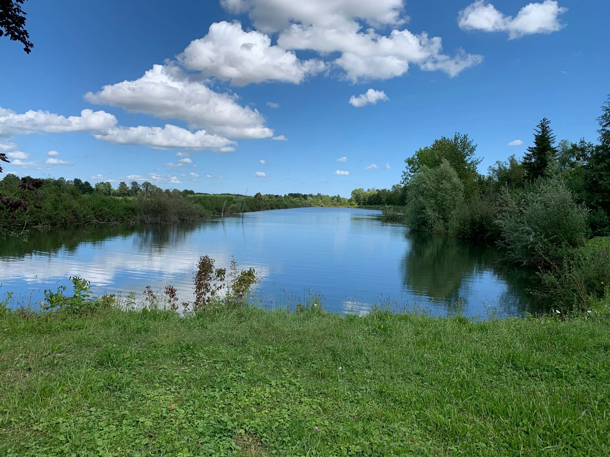 Étang sauvage de 2,7 ha avec maison tout équipée – Spot idéal pour les amateurs de carnassiers en fl