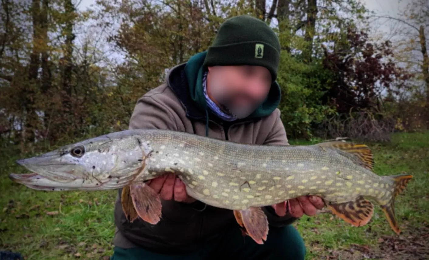 Étang sauvage de 2,7 ha avec maison tout équipée – Spot idéal pour les amateurs de carnassiers en fl